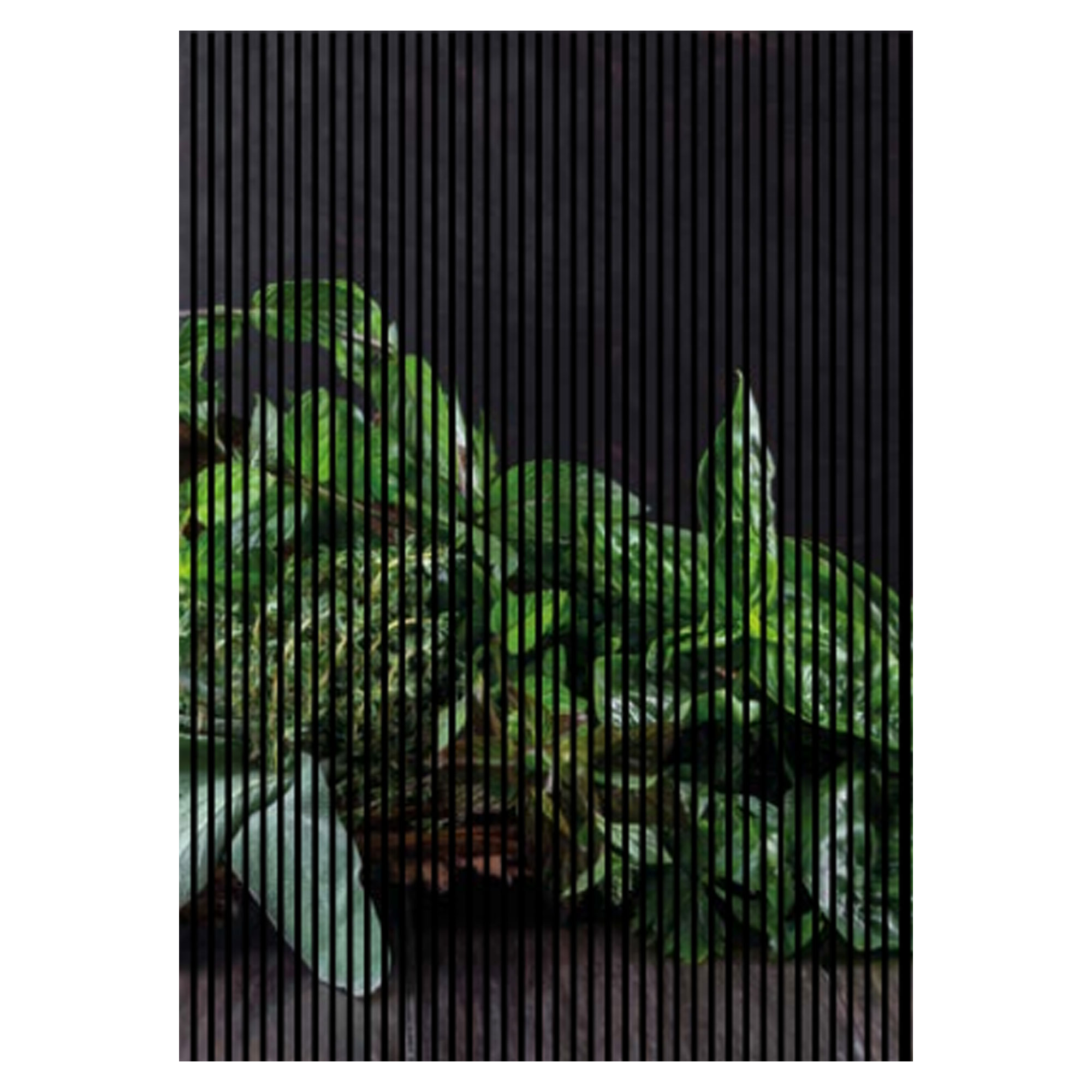 Akustikpaneele mit Digitaldruck Kräuter Holztisch Wandpaneele Grün Braun Schwarz in versch. Größen