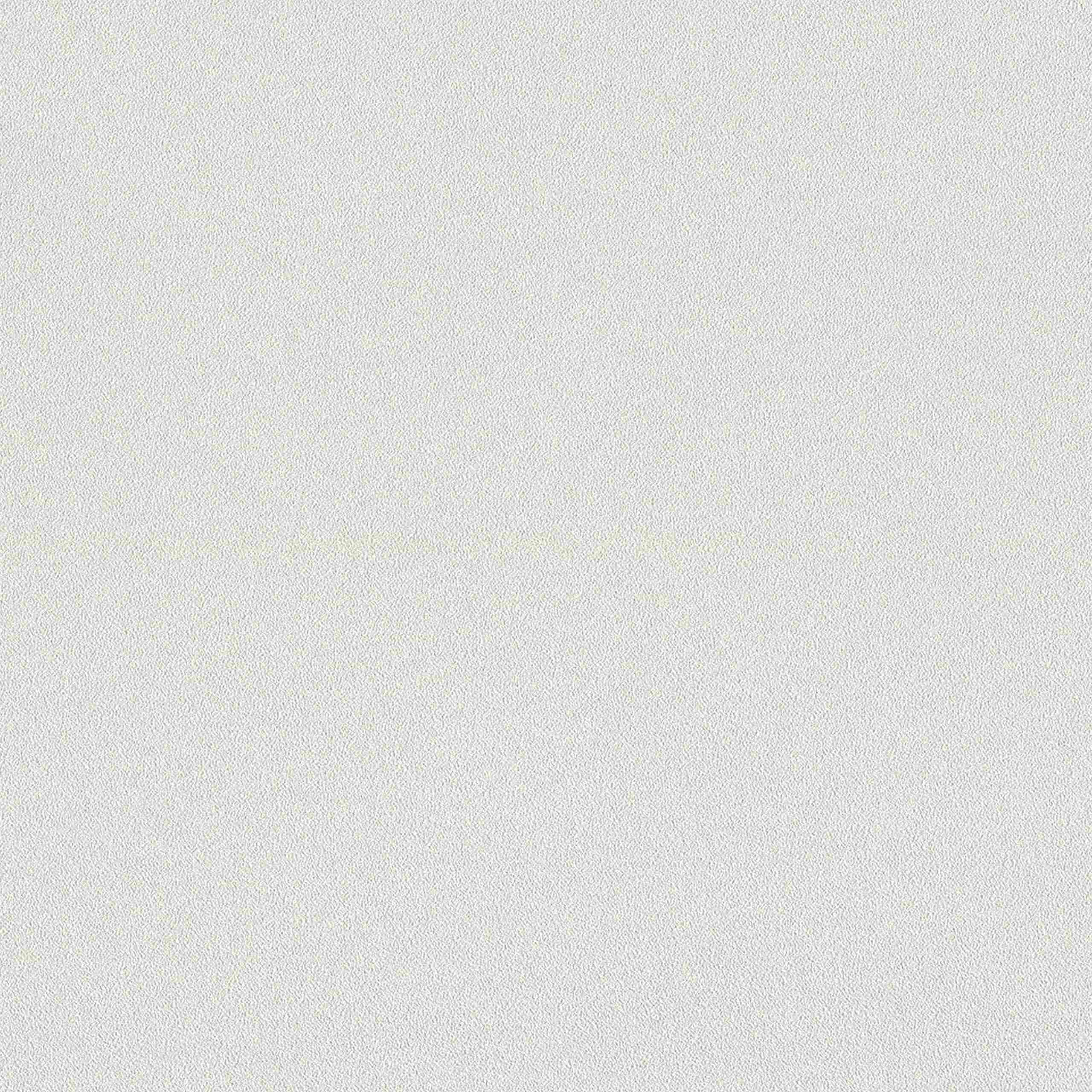 Rasch | Wall Textures Vol. IV | 479423 | Vliestapete | Einfarbig | 0.53 x 10.05 m | Beige
