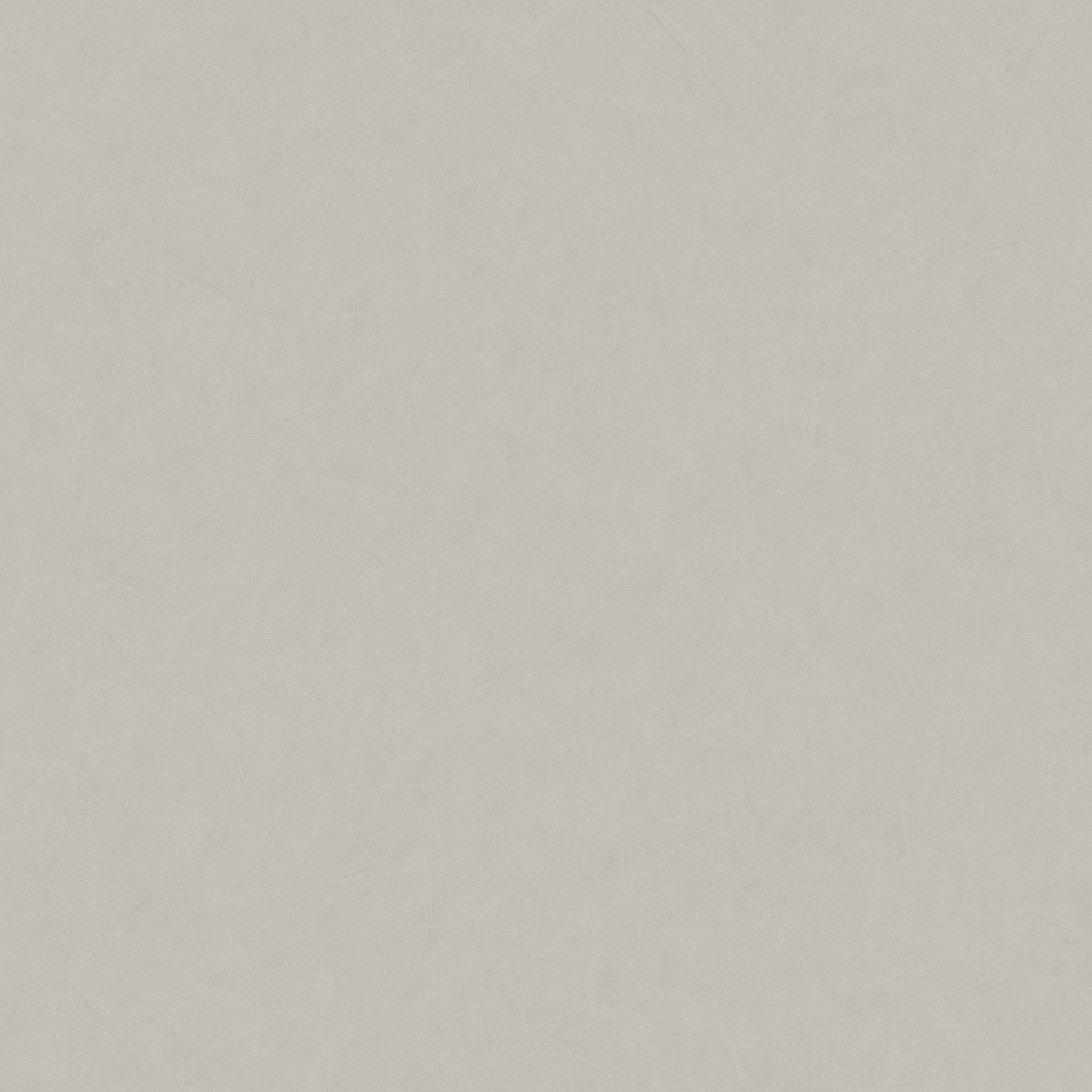 376954_haupt A.S. Creation | New Life | 376954 | Vliestapete | Einfarbig | Uni | 0.53 x 10.05 m | Grau