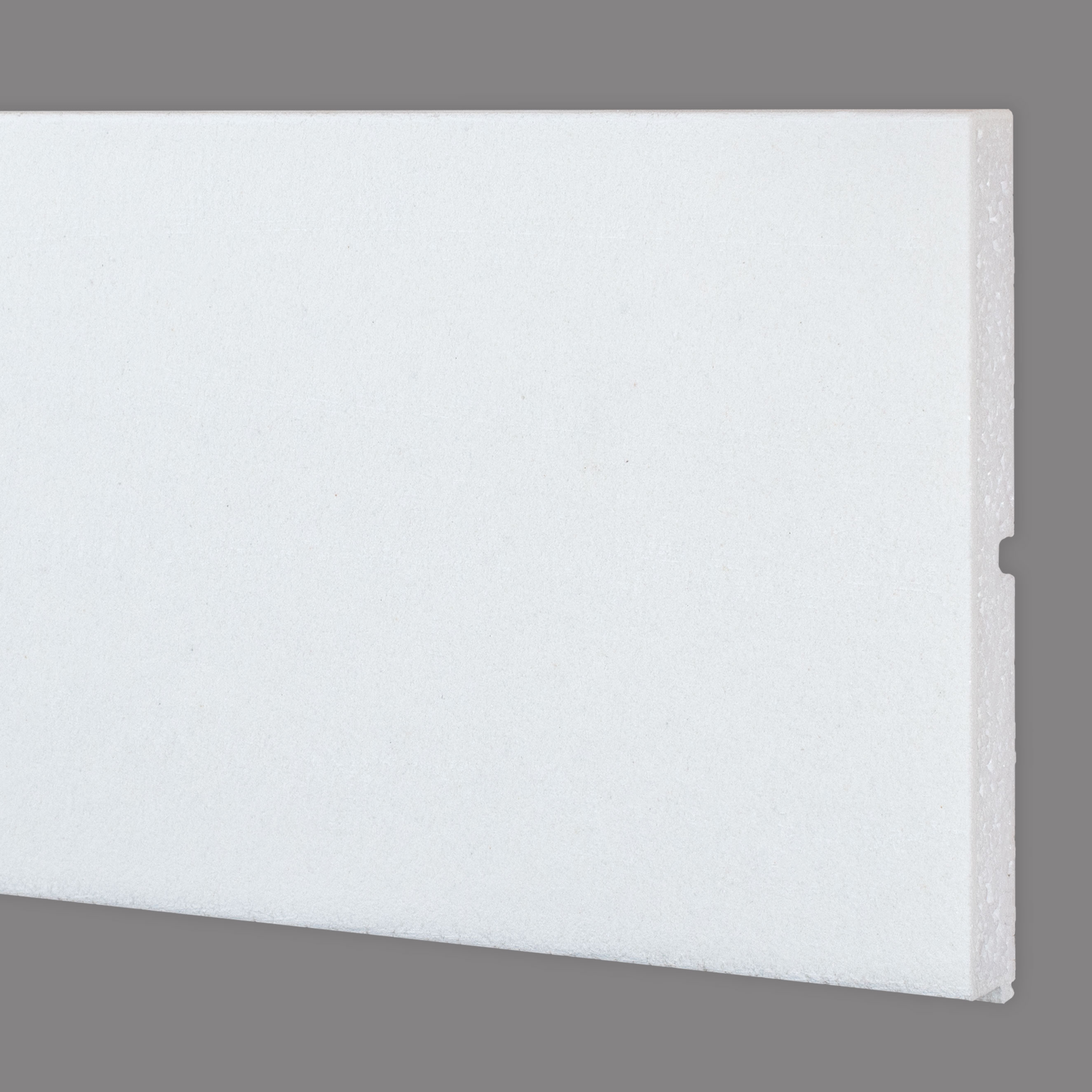 Wiesemann | Fassadenprofil "FP58-b" | Fassadenstuck | 20 x 250 x 2000 mm | Außenstuck | Beschichtet