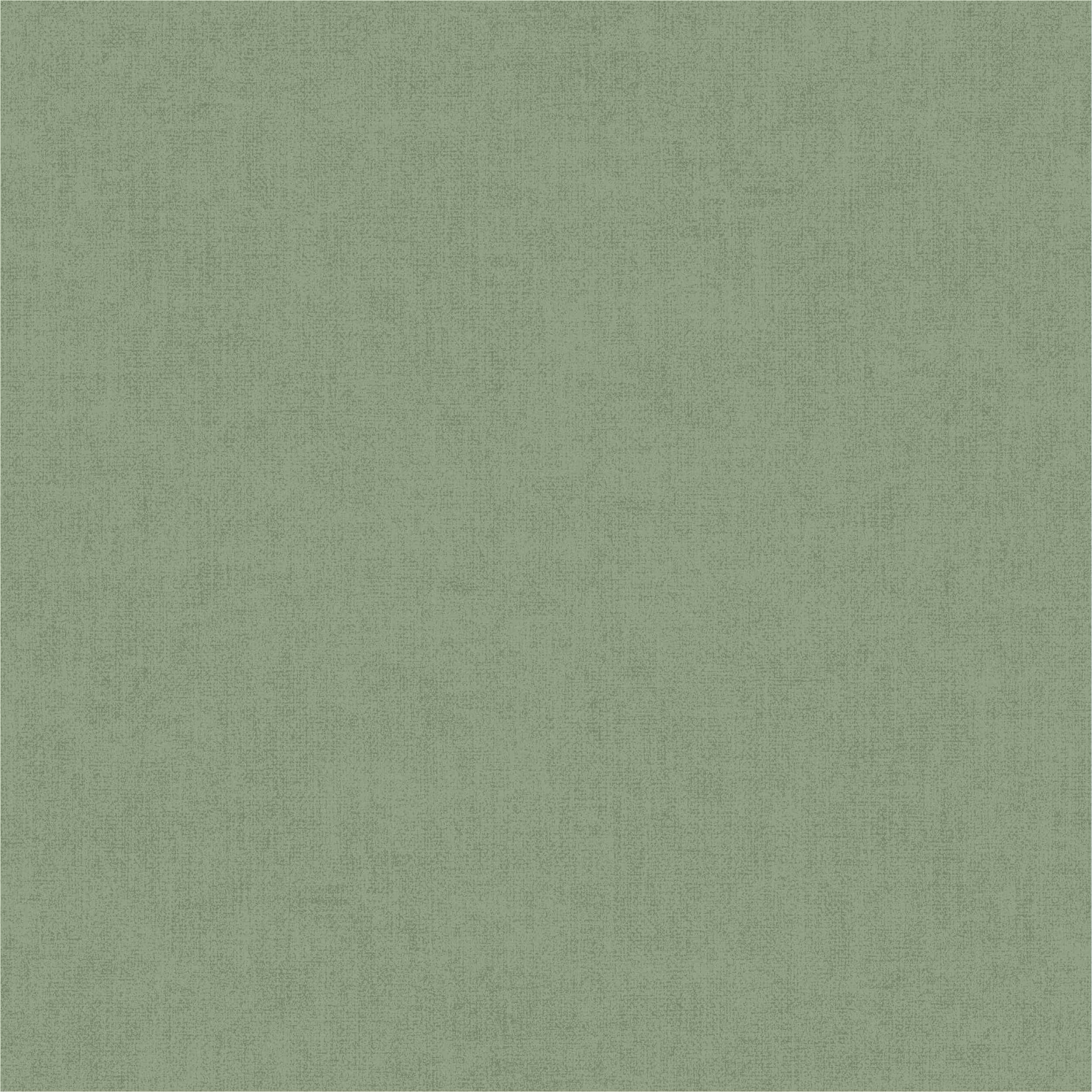 Vliestapete A70106 Uni / Einfarbig 0.53 x 10.05 m Omura Grandeco