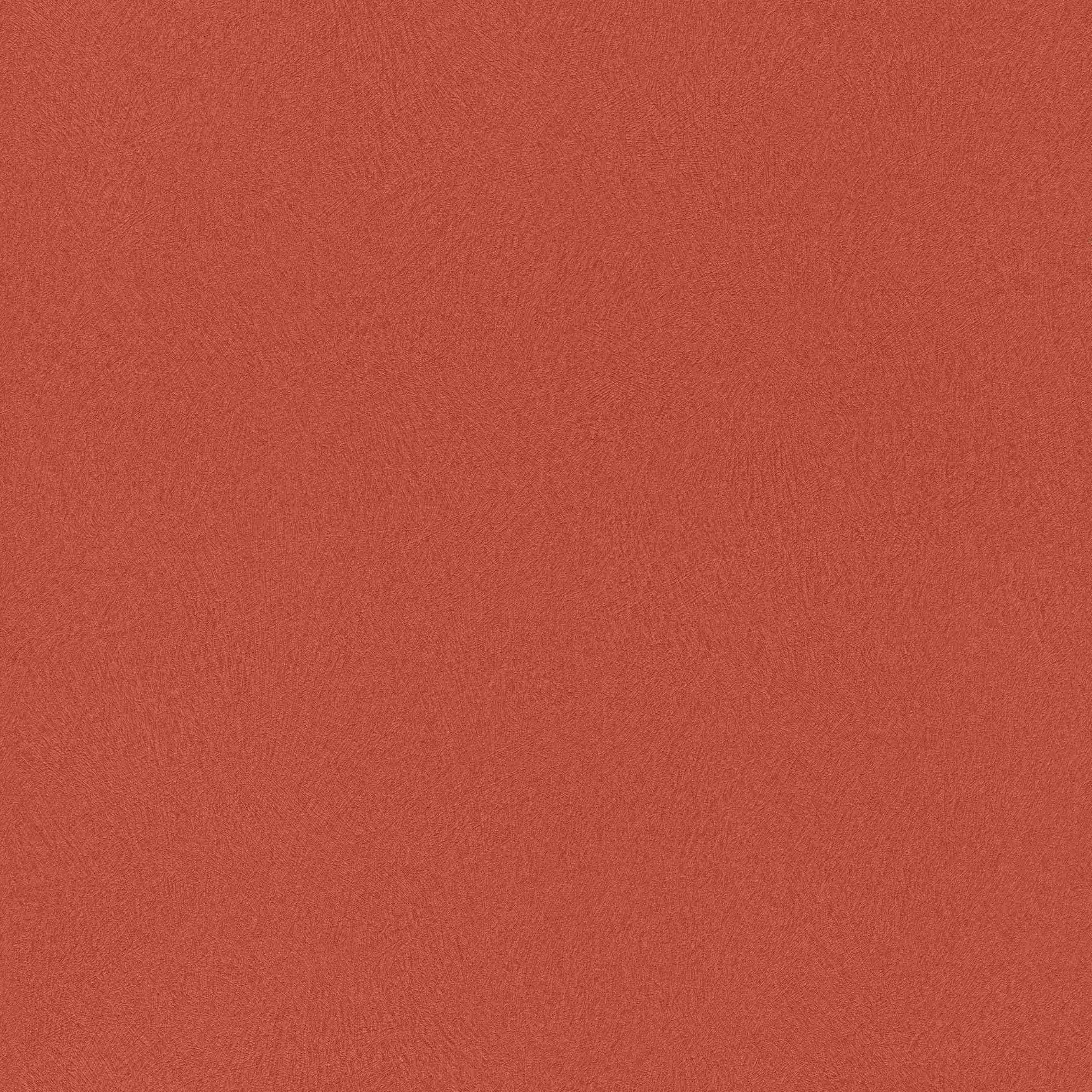 Rasch | Club | 418682 | Vliestapete | Einfarbig | Uni | 0.53 x 10.05 m | Rot