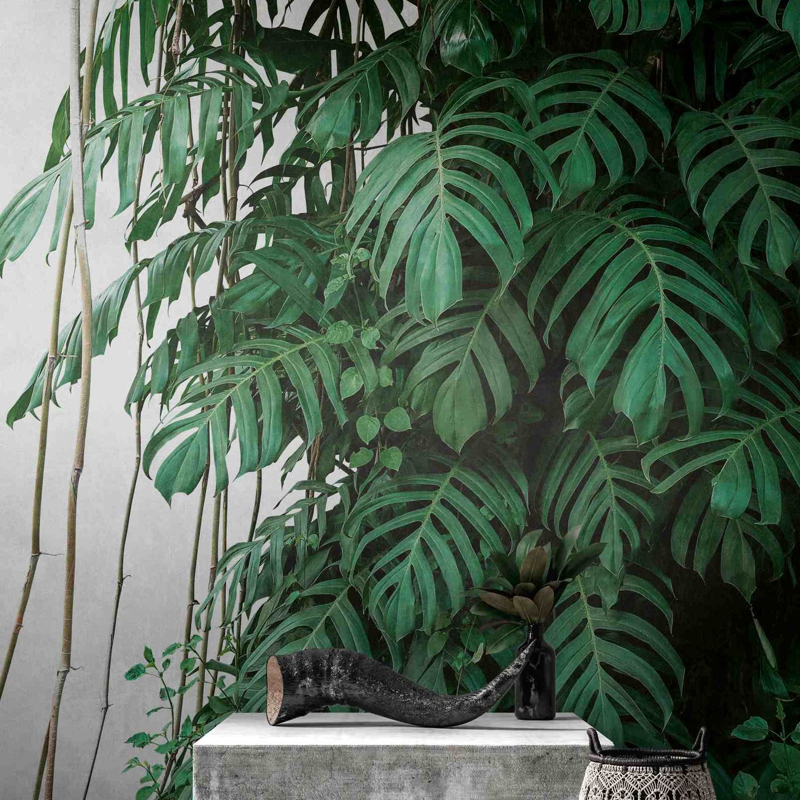 A.S. Creation Fototapete The Wall 382411 Ein Motiv pro Rolle Dschungel Grün