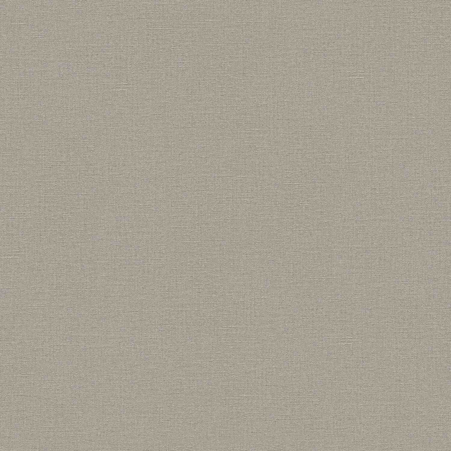 A.S. Creation | Desert Lodge | 324746 | Vliestapete | Einfarbig | Uni | 0.53 x 10.05 m | Braun