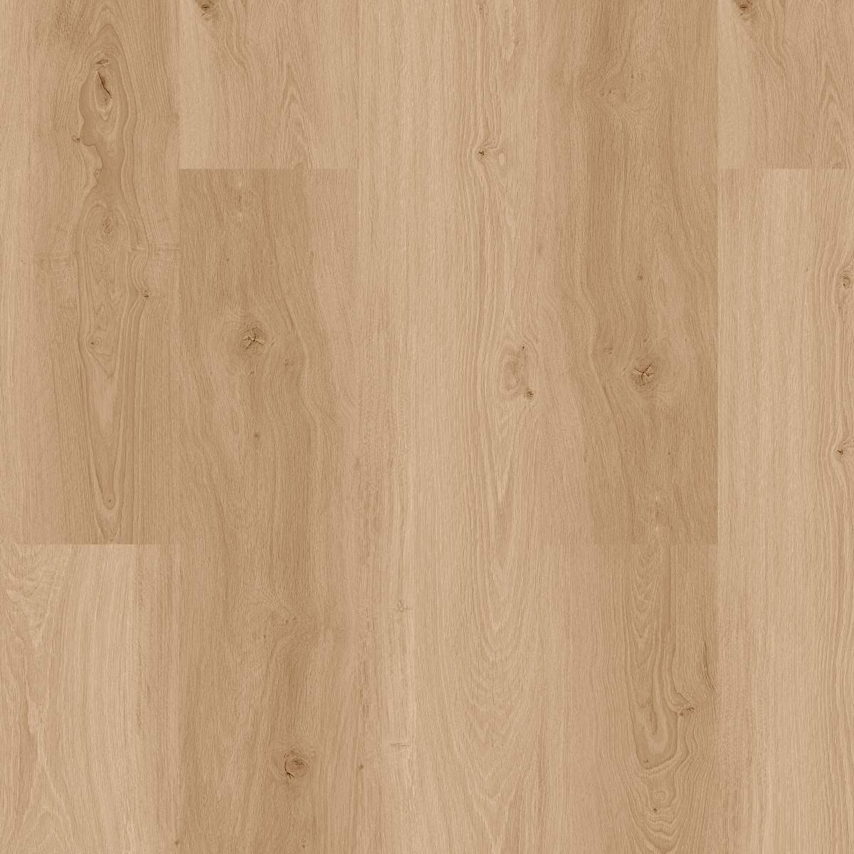 Vinylboden DESIGN 555 Wooden Styles 1524 x 2286 x 2.5 mm Klebevinyl Holz Eiche Braun NKL42