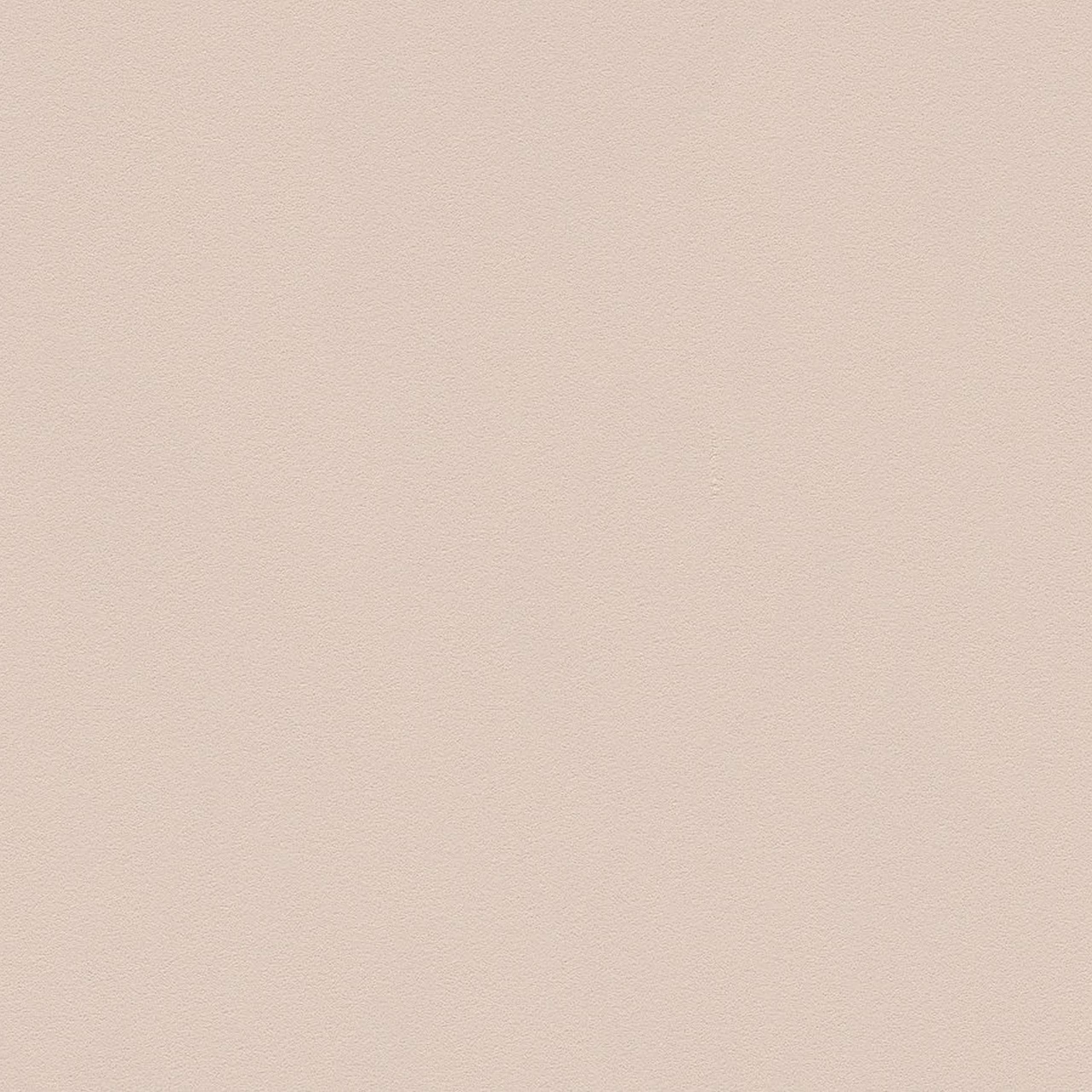 A.S. Creation | Il Decoro | 309150 | Vliestapete | Einfarbig | Uni | 0.53 x 10.05 m | Beige