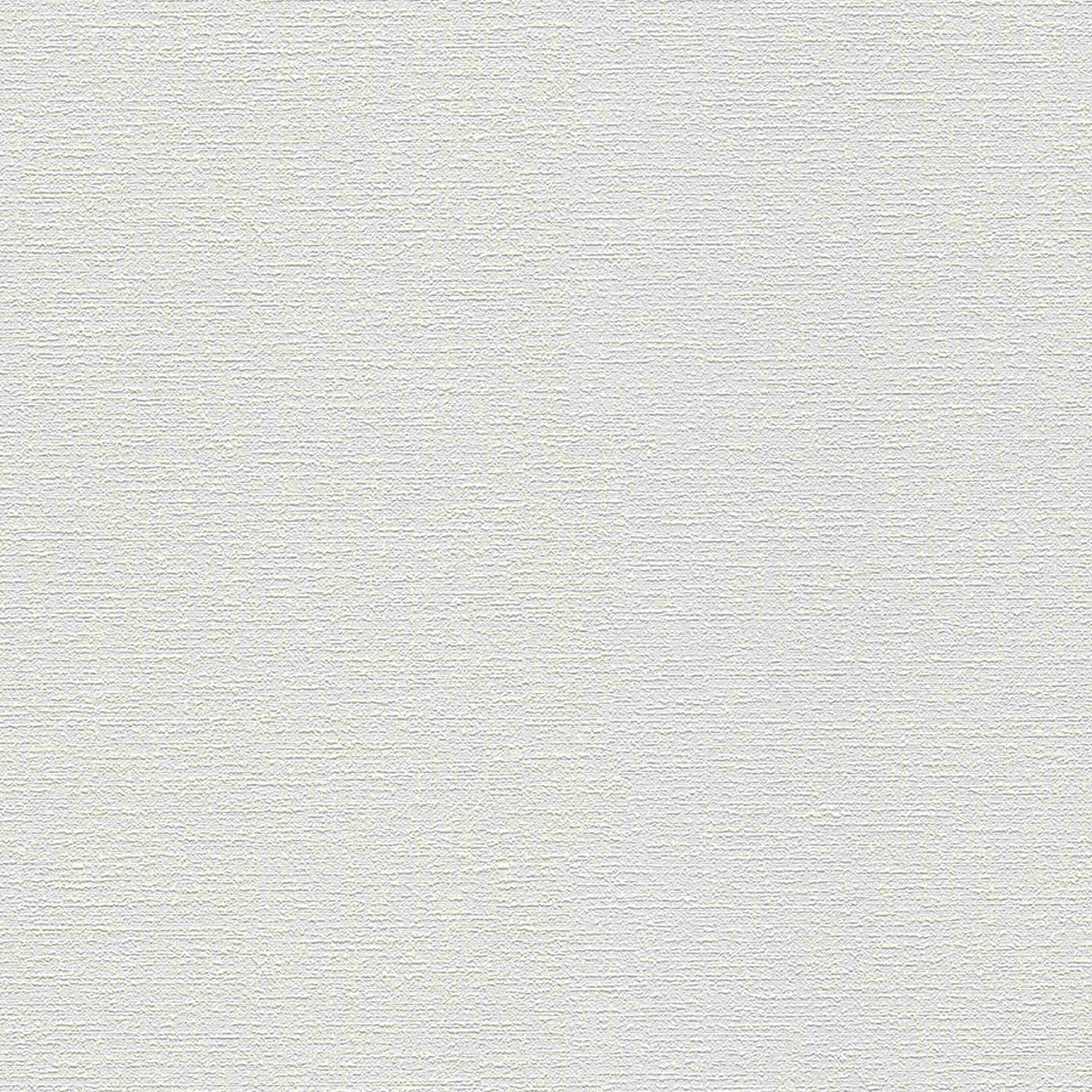 Vliestapete 103918 Putz Weiß Meistervlies A.S. Creation
