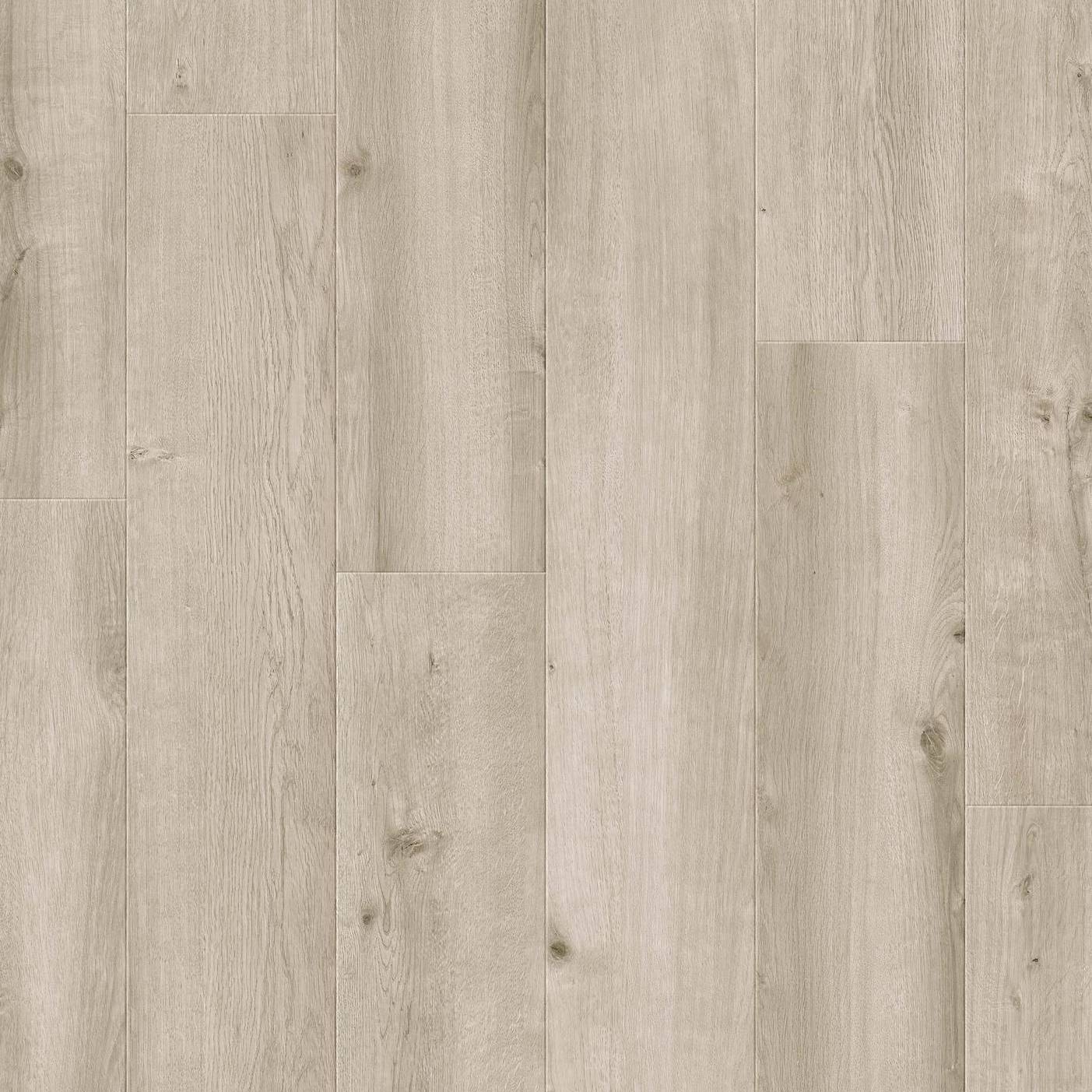 Laminat 833 XploraNEXT Wide Timeless 8834 | 1261 x 244 x 78 mm Holzoptik Eiche Grau NKL33