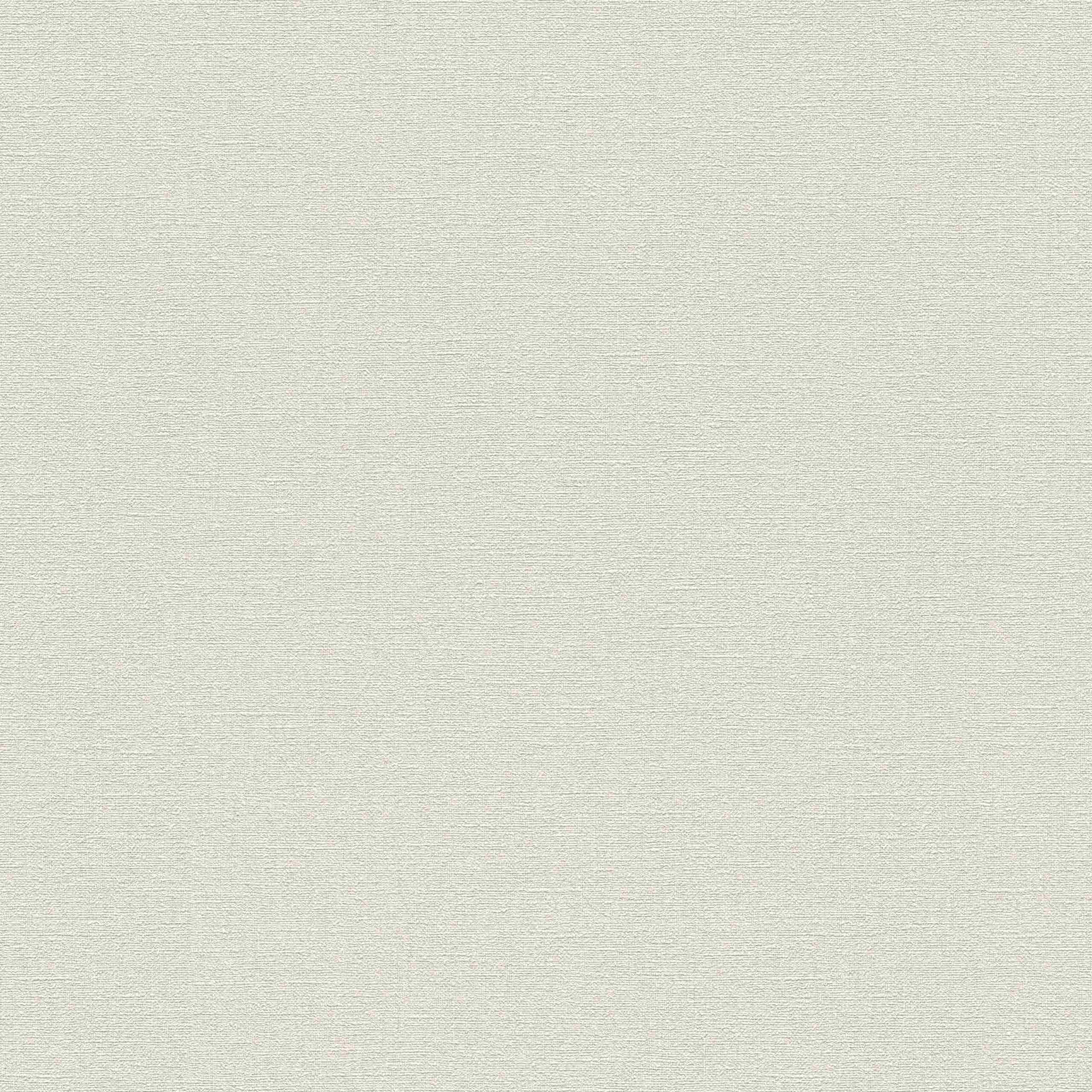 A.S. Creation | Designbook | 336095 | Vliestapete | Einfarbig | Uni | 0.53 x 10.05 m | Grau