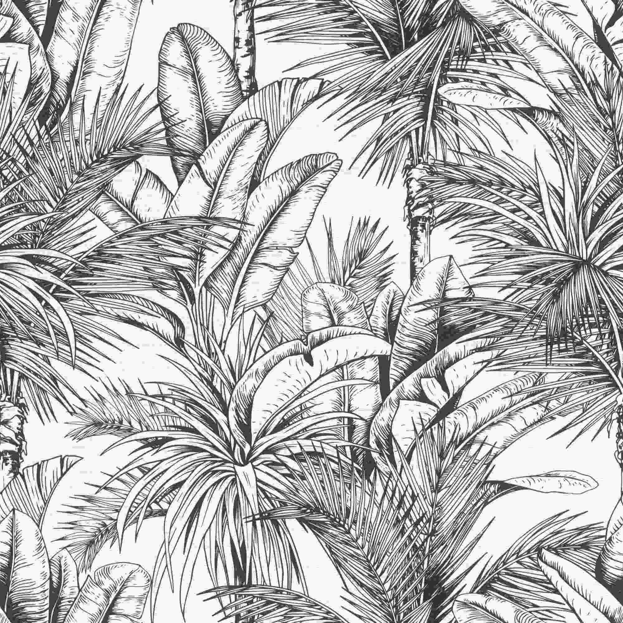 Rasch | Salsa | 478013 | Vliestapete | Botanisch | 10.05 x 0.53 m | Schwarz | Weiß