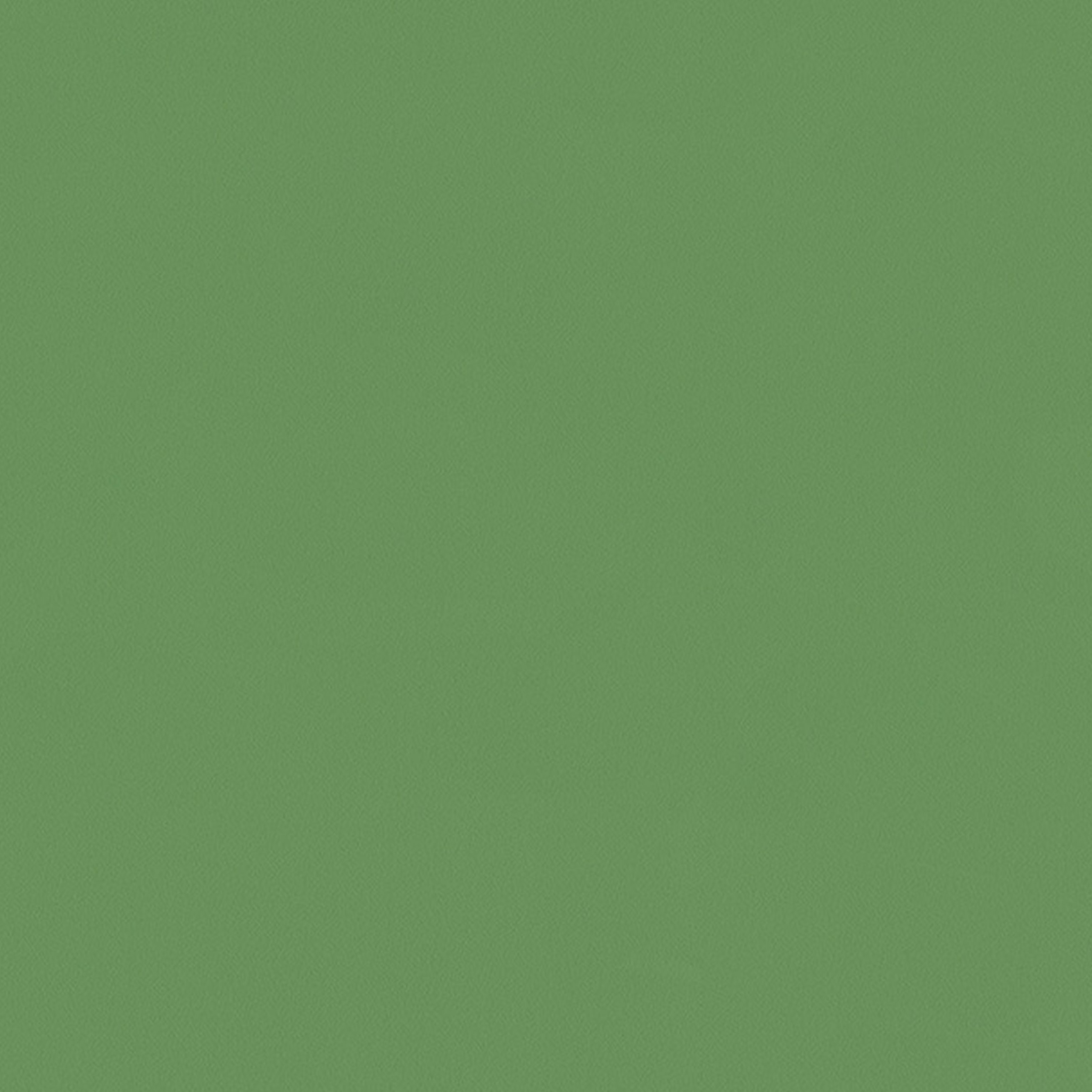 A.S. Creation | AP Longlife Colours | 307291 | Vliestapete | Einfarbig | 1.6 x 21 m | Grün