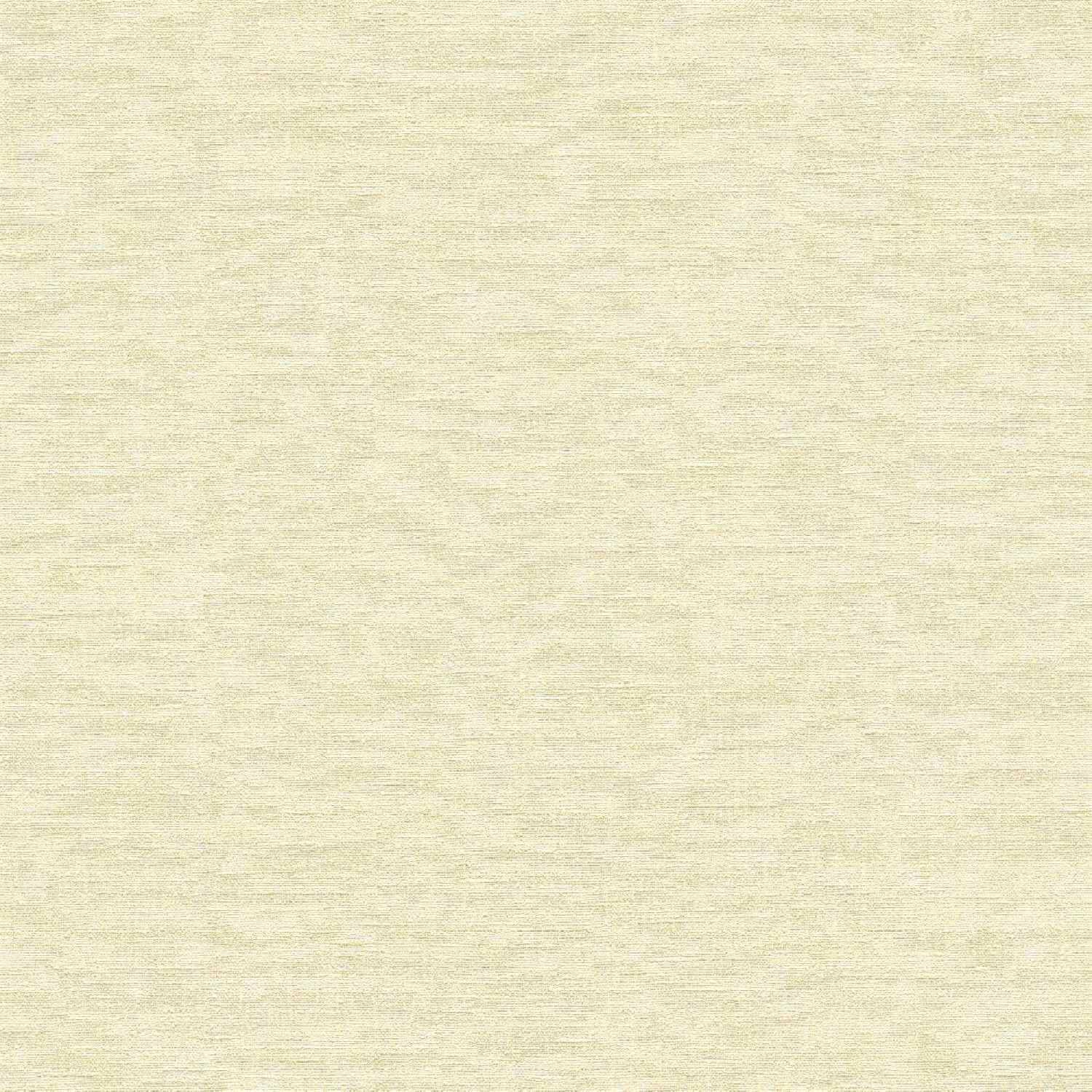 395651_01 A.S. Creation | Smart Surfaces | 395651 | Vliestapete | Uni | Einfarbig | 0.53 x 10.05 m | Beige