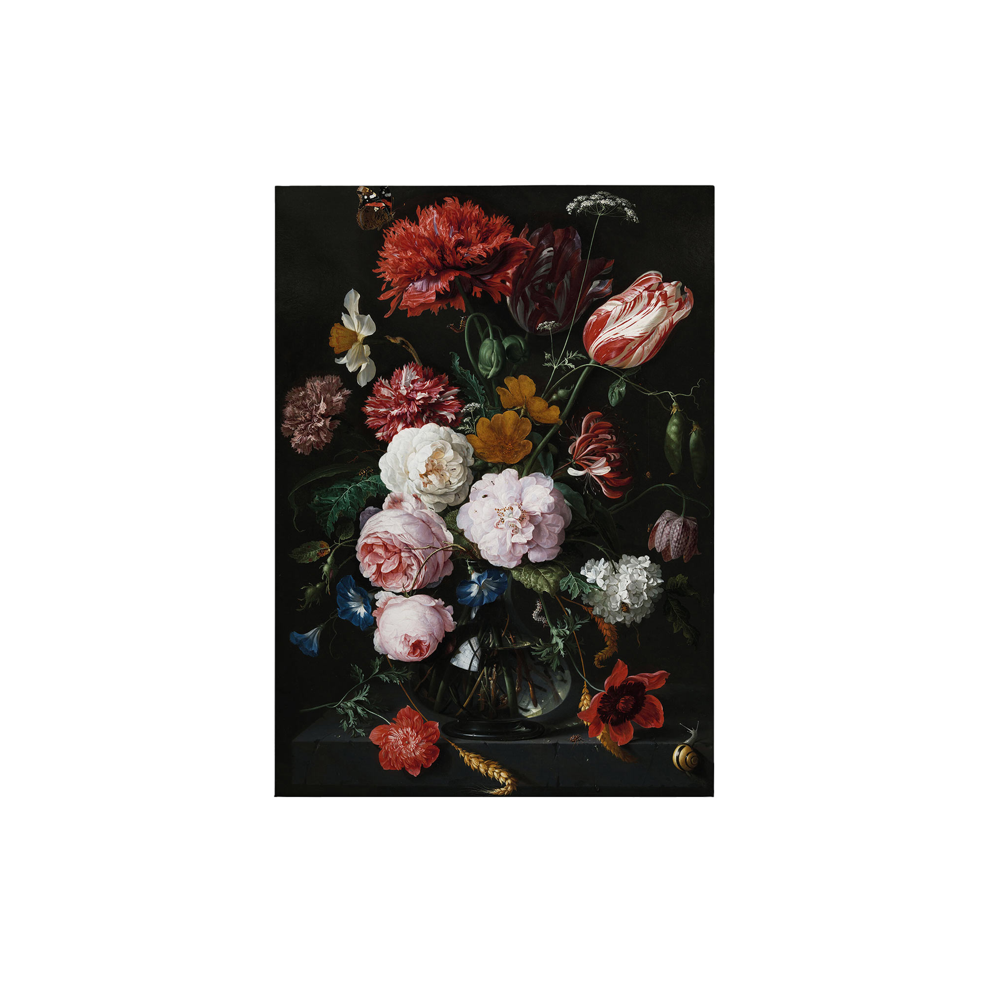 Tadessi Leinwandbild Natur - 70 x 50 cm - M1-No.50393 - Keilrahmen in Bunt Schwarz