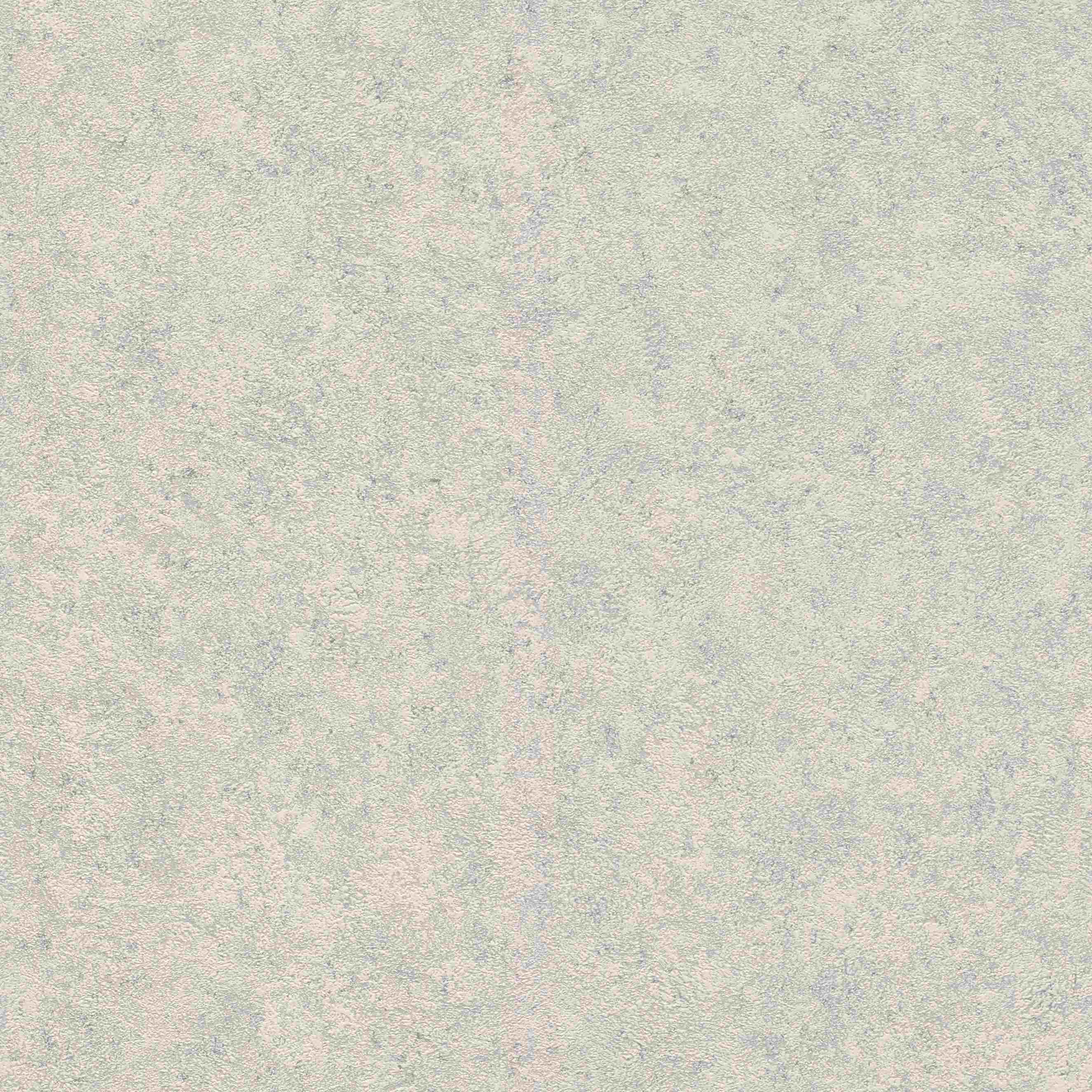 Rasch | Andy Wand | 649321 | Vliestapete | Einfarbig | Uni | 0.53 x 10.05 m | Grau