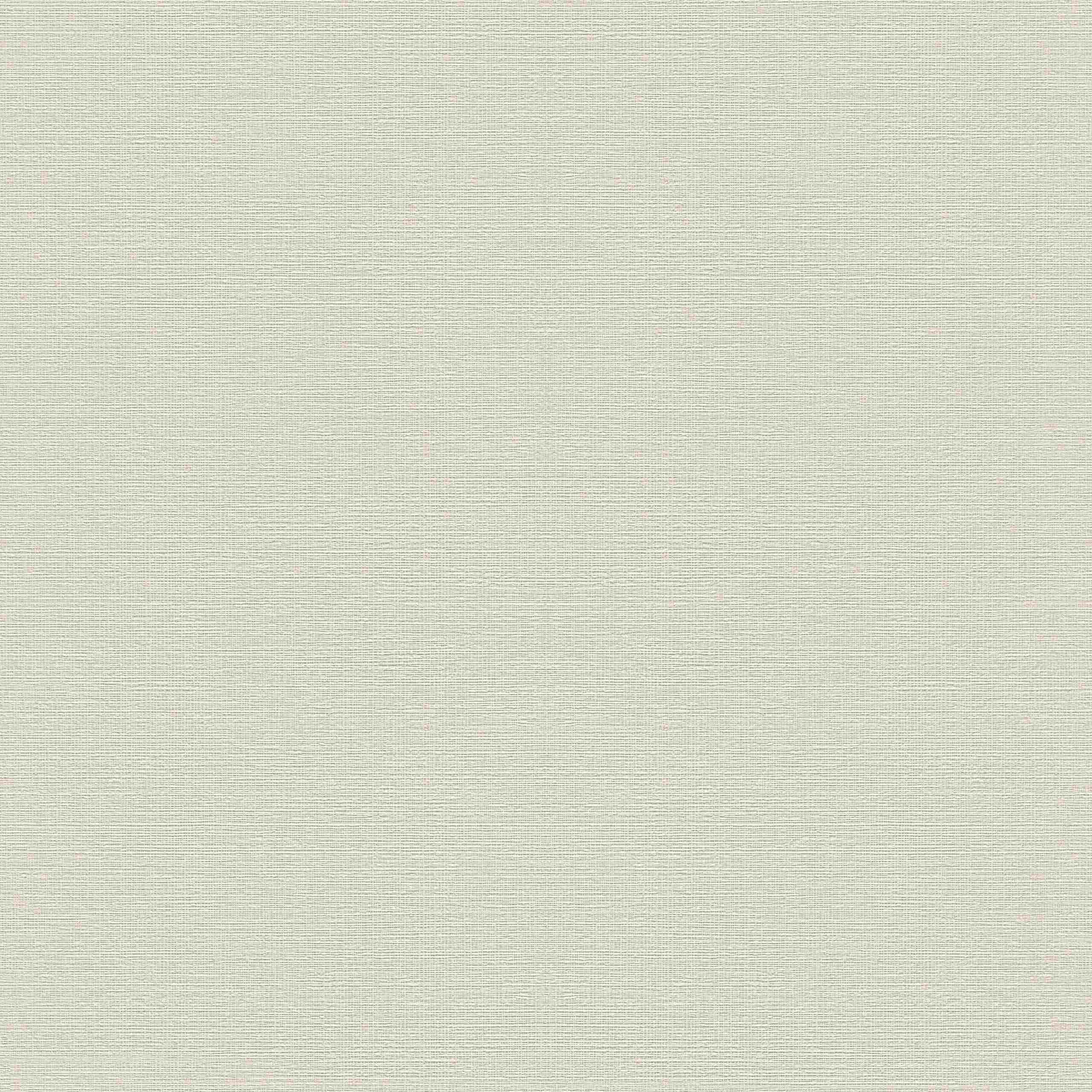 Rasch | Selection | 732337 | Vliestapete | Einfarbig | Uni | 0.53 x 10.05 m | Creme