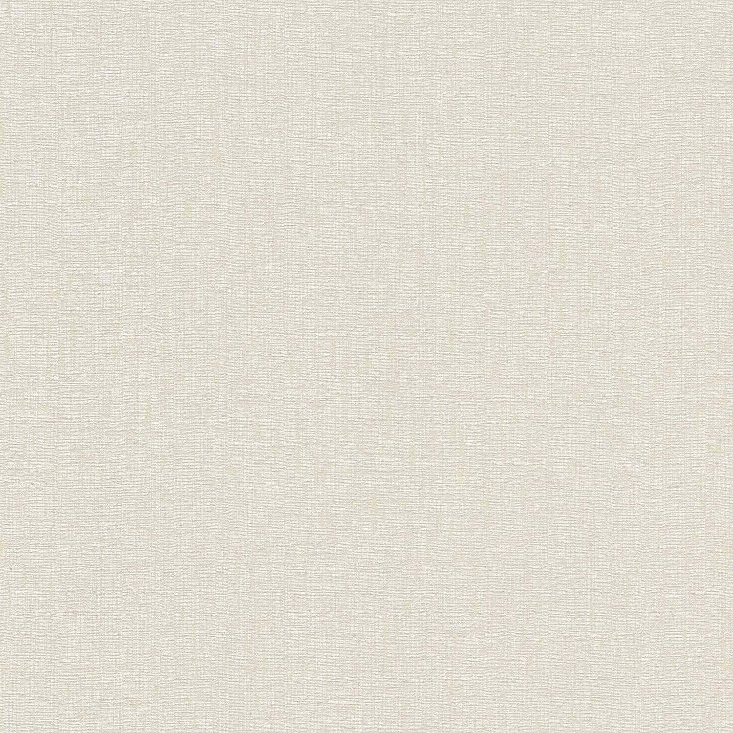A.S. Creation | Stories of Life | 396557 | Vliestapete | Einfarbig | Uni | 0.53 x 10.05 m | Beige