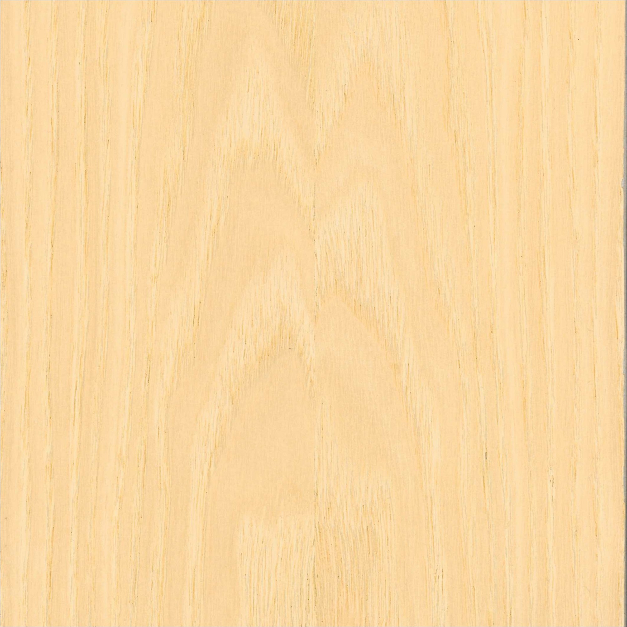 Akustikpaneele 572.5 x 19 mm MDF furniert Akustik Wandpaneele Esche versch. Längen | Neuhofer