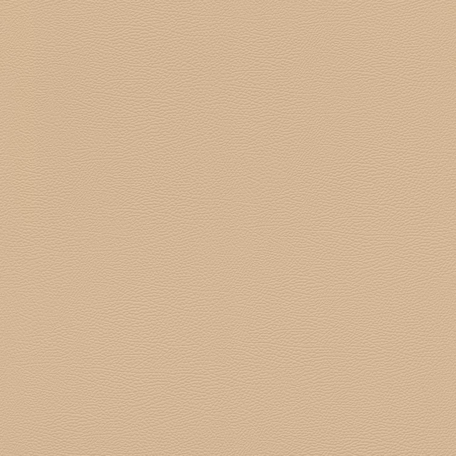 Rasch | African Queen III | 752694 | Vliestapete | Einfarbig | Uni | 0.53 x 10.05 m | Beige