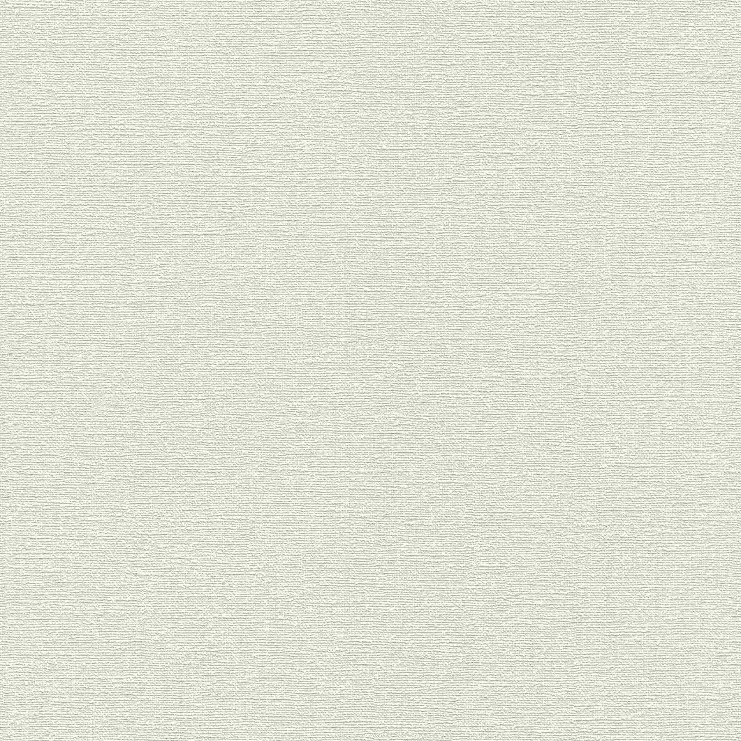 Rasch | Hotspot | 804324 | Vliestapete | Einfarbig | Uni | 0.53 x 10.05 m | Beige