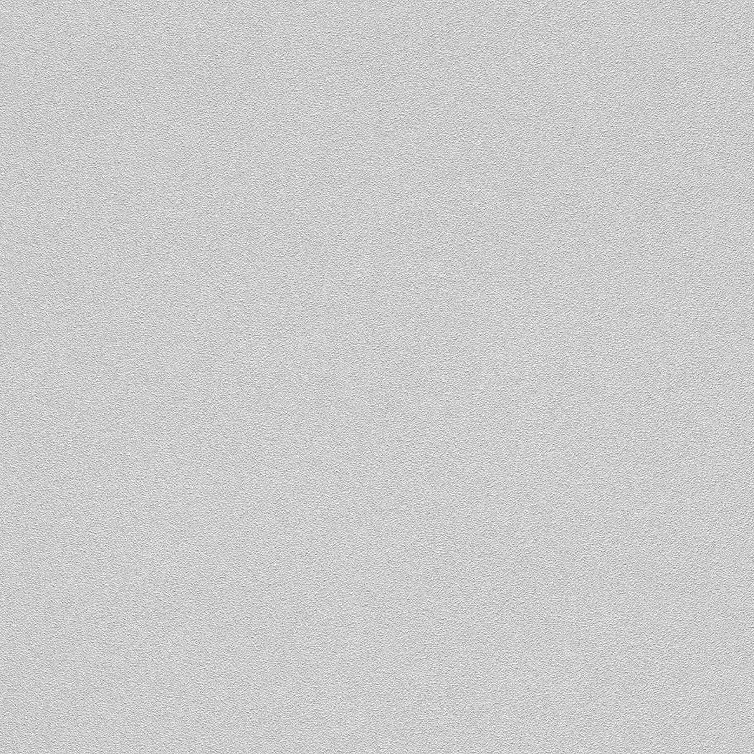 Rasch | Wall Textures Vol. IV | 479447 | Vliestapete | Einfarbig | Uni | 0.53 x 10.05 m | Grau