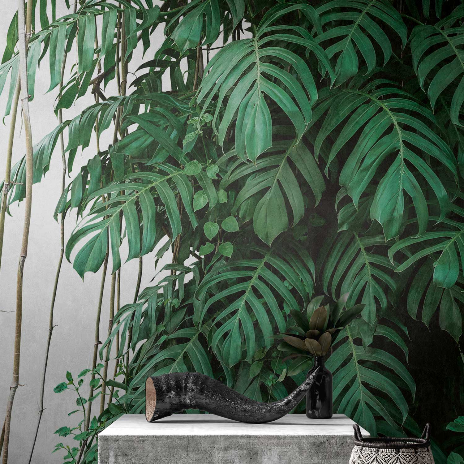 Fototapete Dschungel M1-No.10273 | Digitaldruck | Grün | Grau | Palmen | Botanical