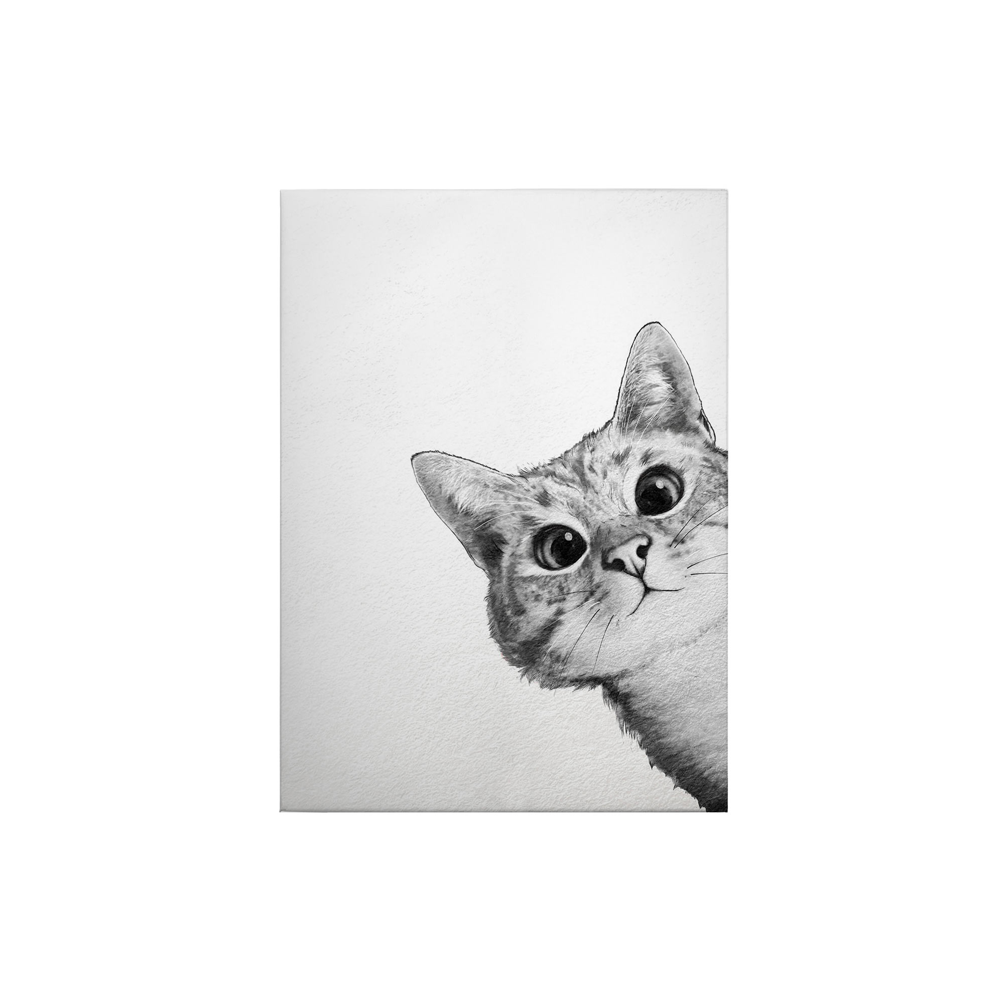 Tadessi Leinwandbild Katze - 70 x 50 cm - M1-No.50417 - Keilrahmen in Weiß Schwarz
