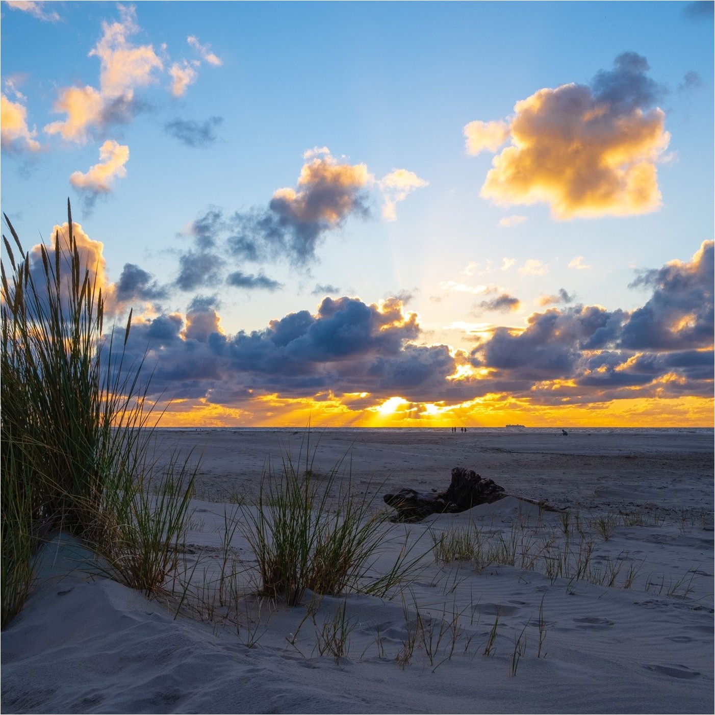 Vlies Fototapete 364699 Natur Landschaft Selection Rasch