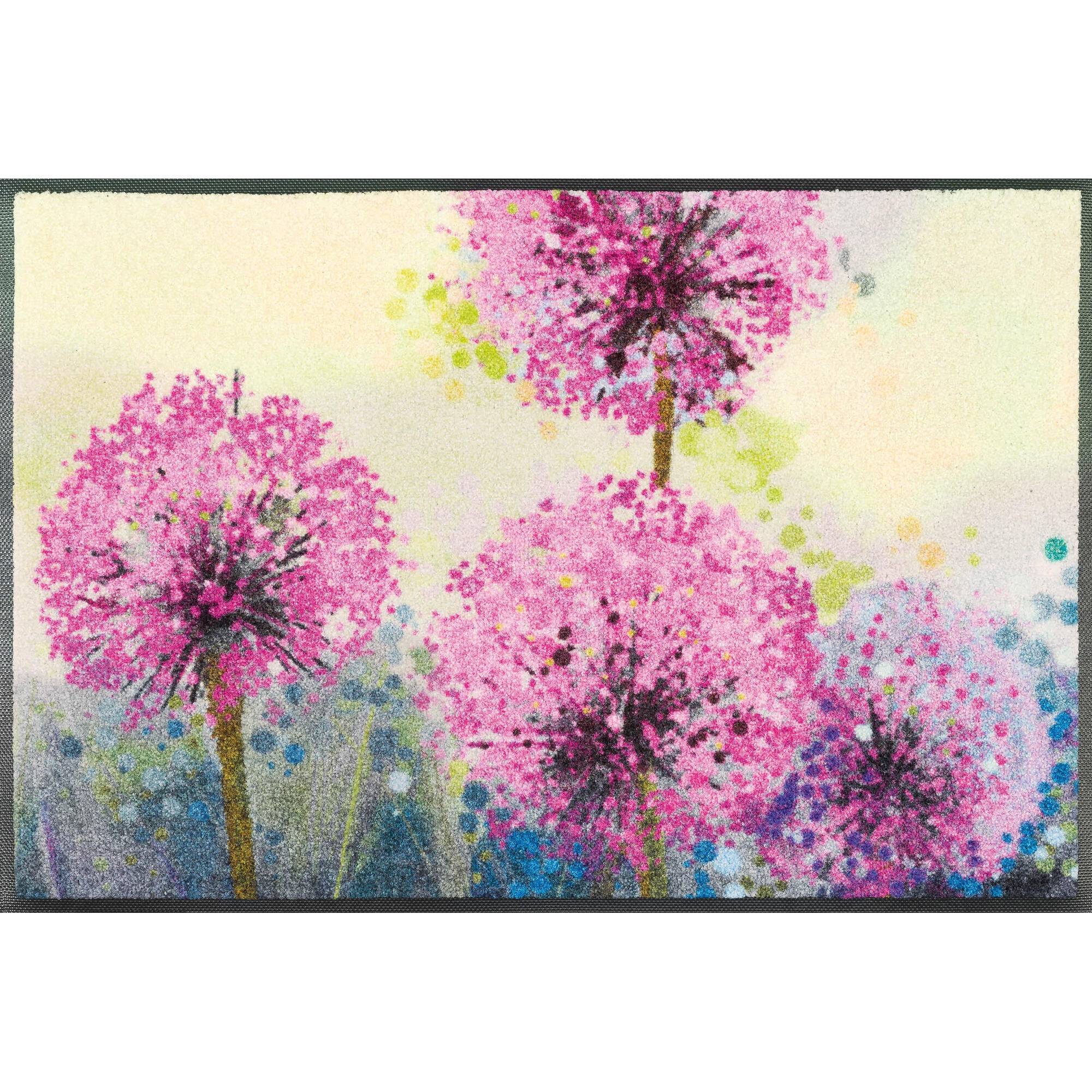 Fußmatte Purista 75 x 50 cm Schmutzfangmatte waschbar Floornovo Trend Design