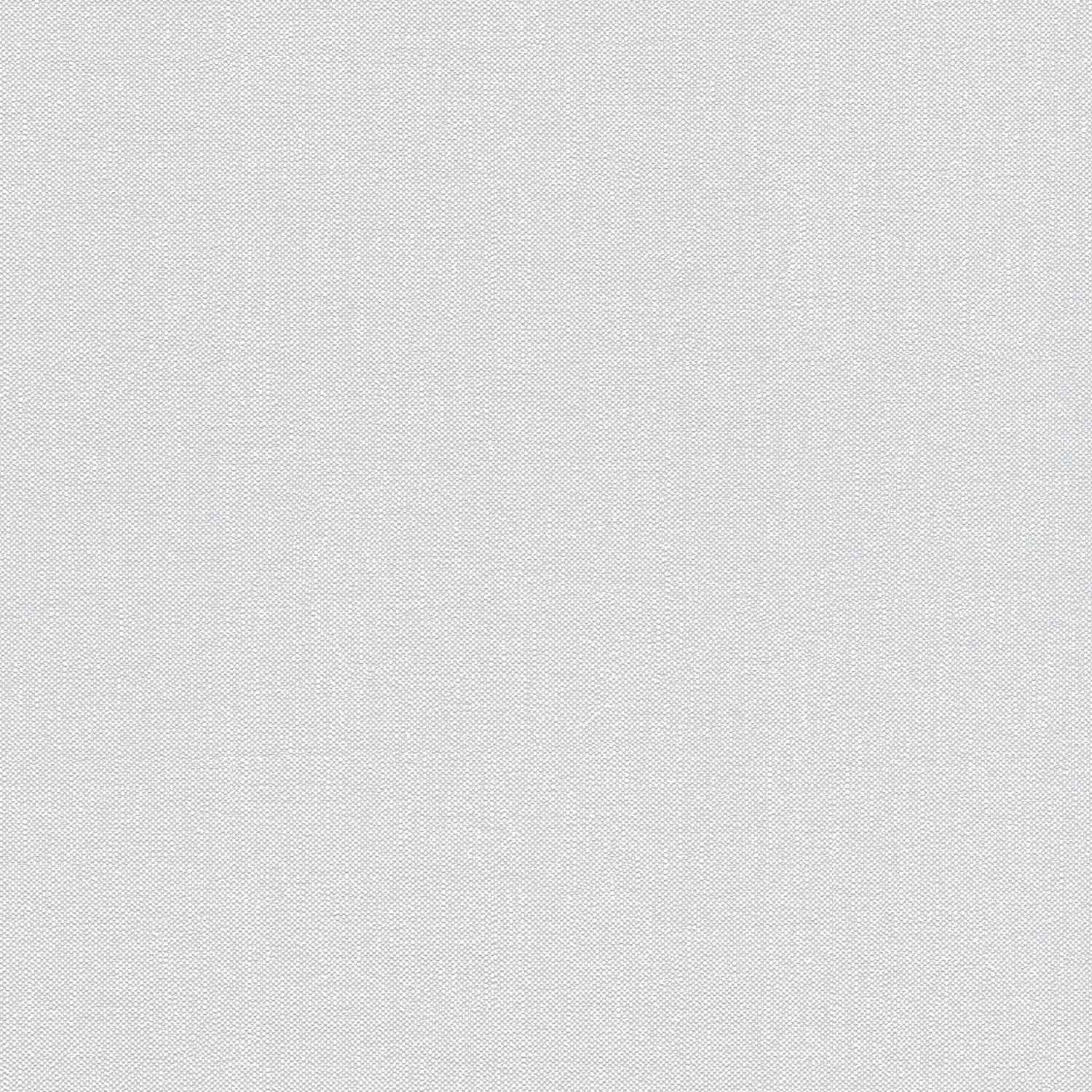 A.S. Creation | Terra | 297327 | Vliestapete | Einfarbig | 10.05 x 0.53 m | Grau