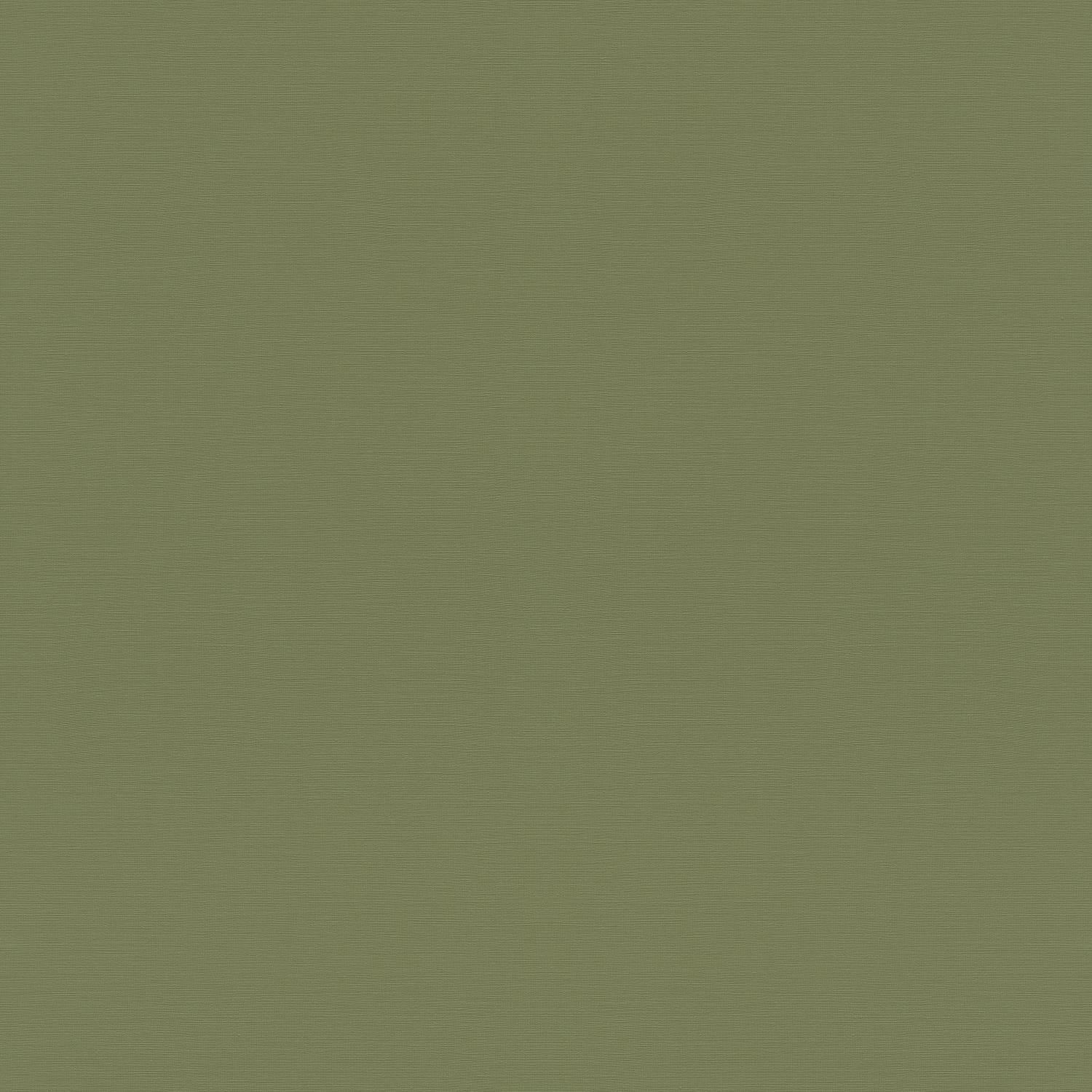 Rasch | Rhapsody | 687538 | Vliestapete | Einfarbig | Uni | 0.53 x 10.05 m | Grün