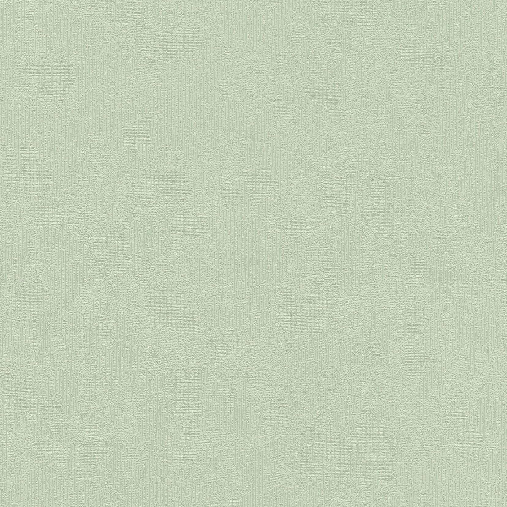 Vliestapete 415377 Grün Uni Einfarbig Deco Style Rasch