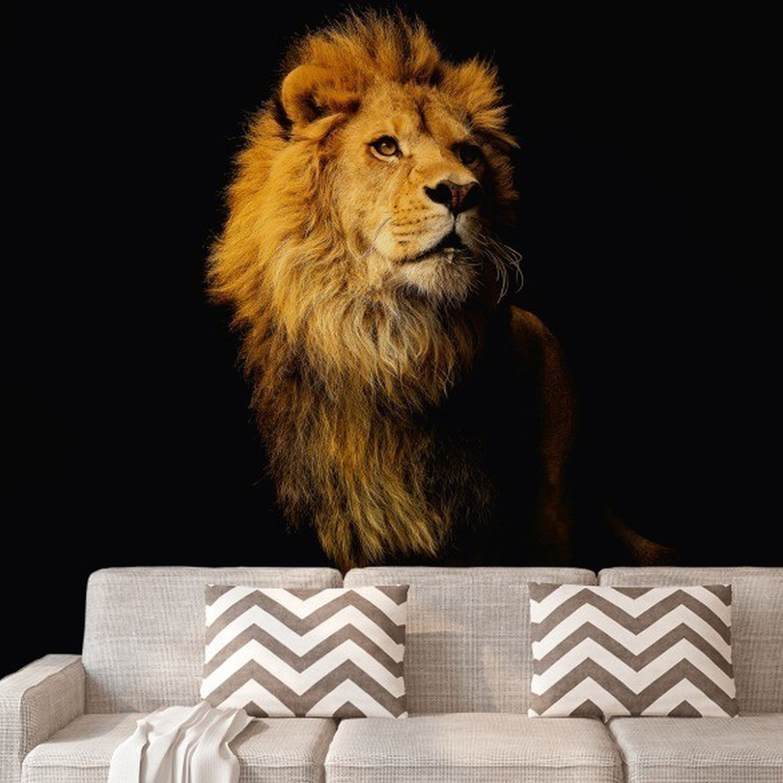 A.S. Creation | XXL 5 | DD114660 | Fototapete | Vlies | Versch. Größen | Tiere | Schwarz