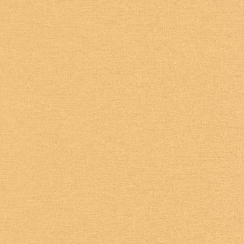 Grandeco | Phoenix | A48904 | Vliestapete | Einfarbig | 10.05 x 0.53 m | Orange