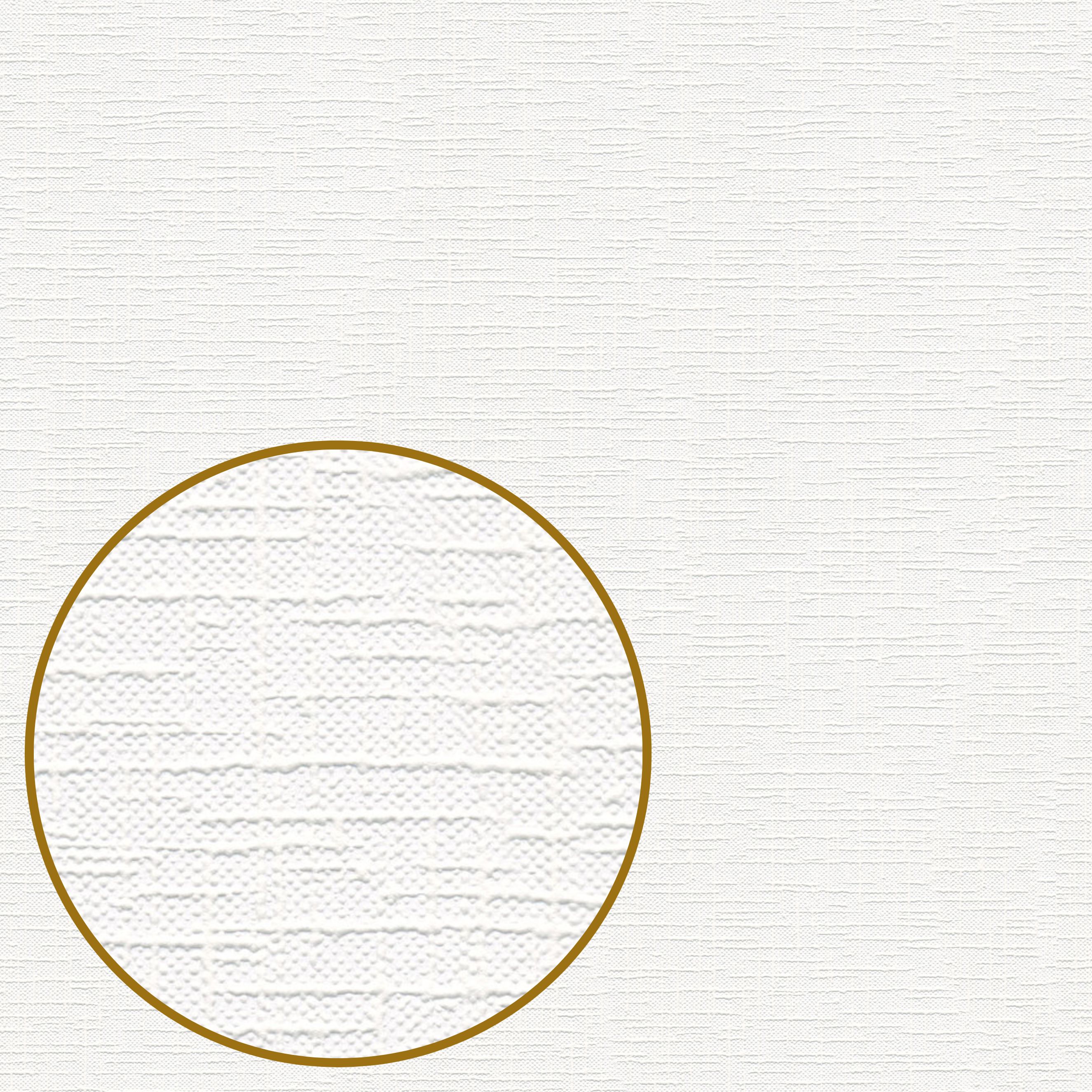 A.S. Creation | MV 4 ProtectGO | 250513 | Vliestapete | Uni | Einfarbig | 10.05 x 0.53 m | Weiß