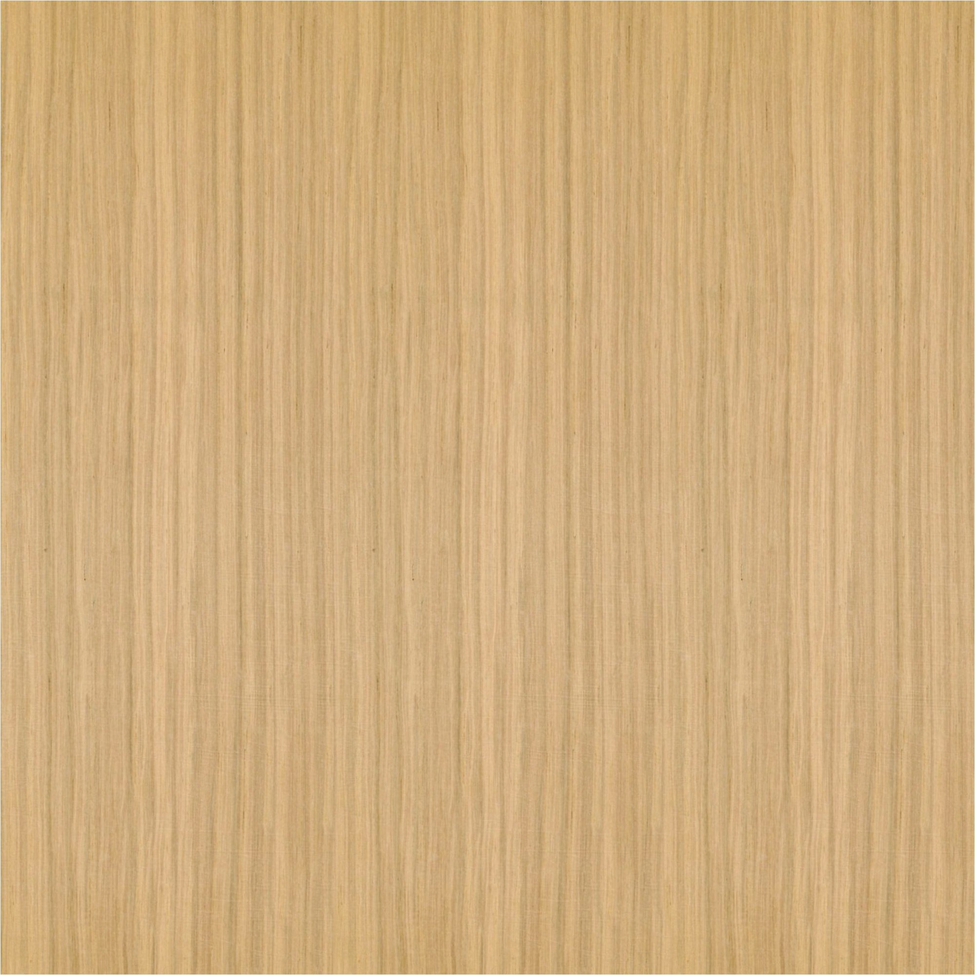 Akustikpaneele 572.5 x 19 mm MDF furniert Akustik Wandpaneele Eiche natur versch. Längen | Neuhofer