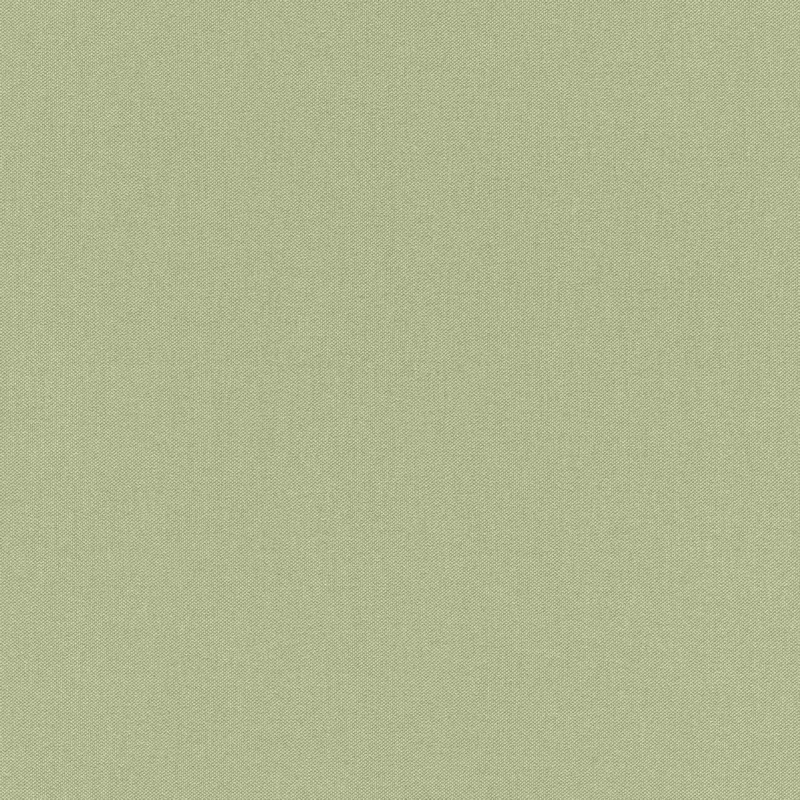 Rasch | Selection | 423938 | Vliestapete | Einfarbig | Uni | 0.53 x 10.05 m | Grün