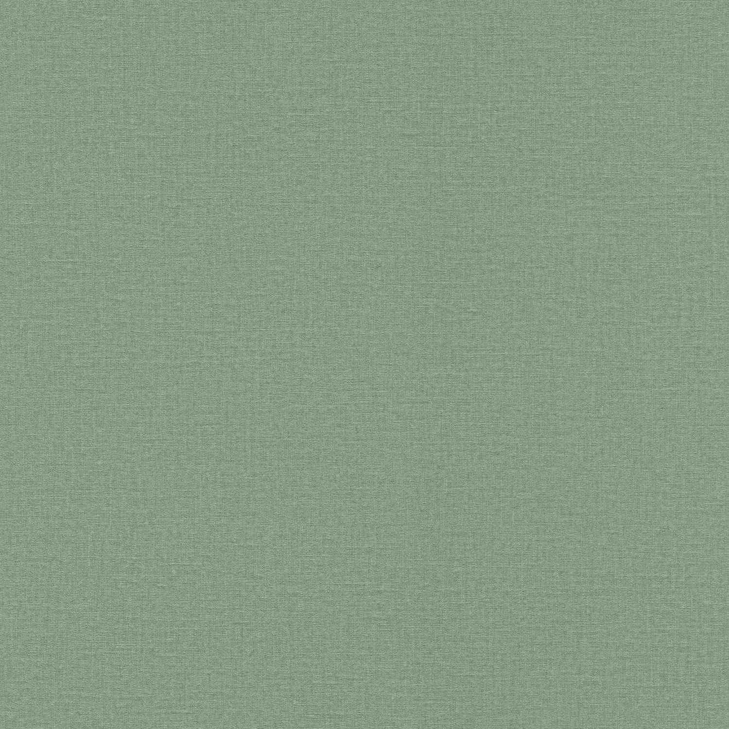 Rasch | Lirico | 555936 | Vliestapete | Einfarbig | Uni | 0.53 x 10.05 m | Grün