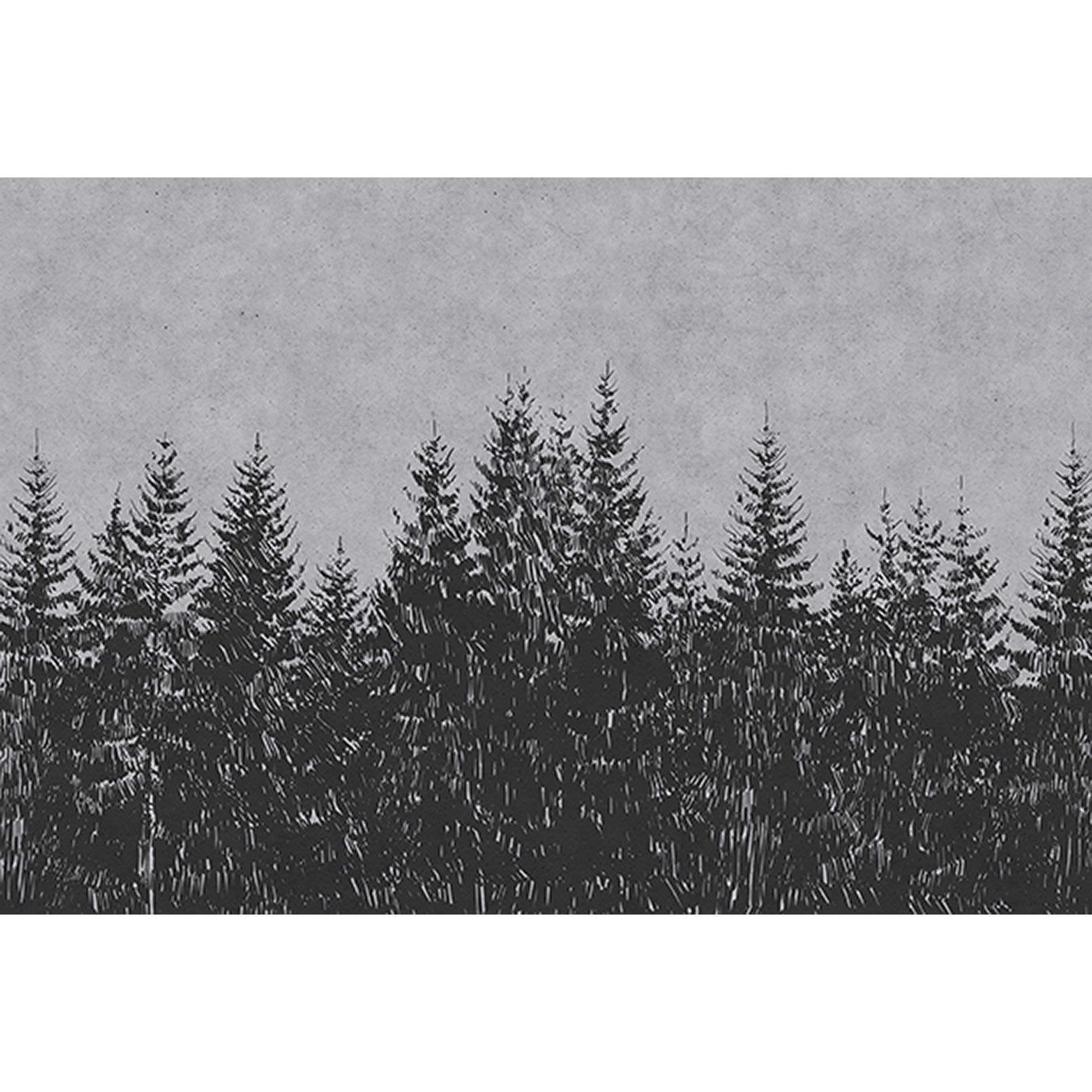 Tadessi Fototapete Wald M1-No.60528 Digitaldruck Tapete Grau Schwarz