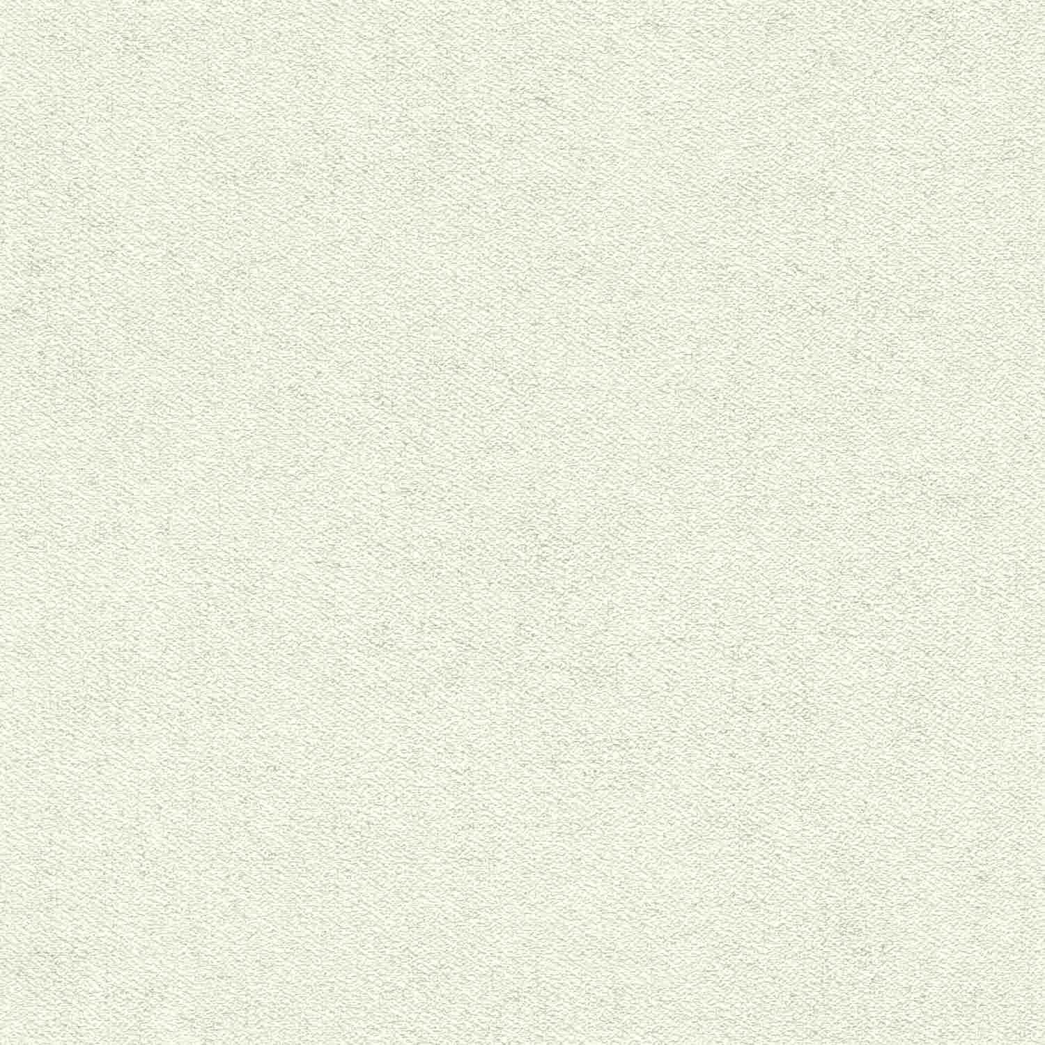 Rasch | #tapetenwechsel II | 507041 | Vliestapete | Einfarbig | Uni | 0.53 x 10.05 m | Weiß