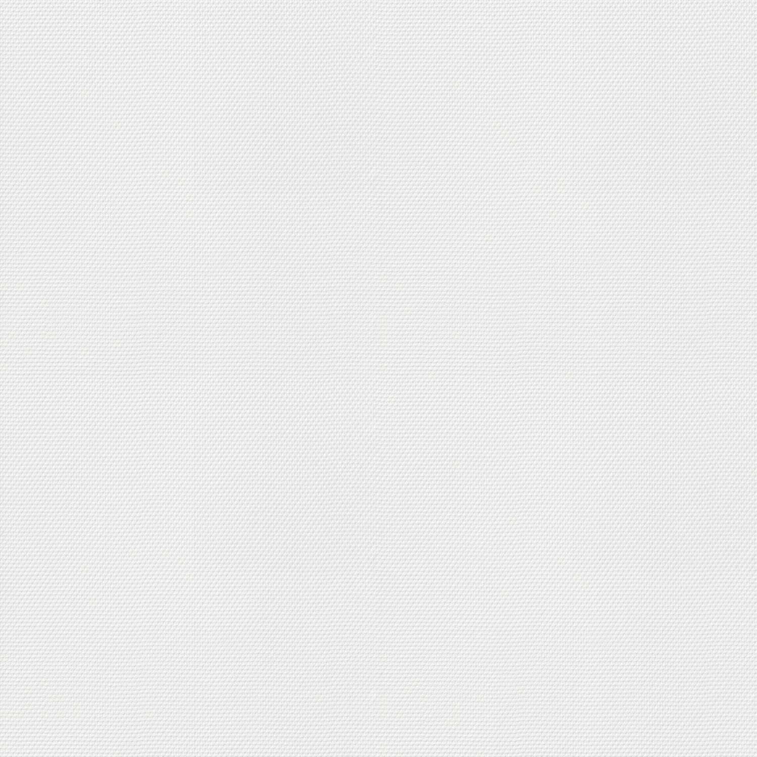 Rasch | Wallton 2025 | 127300 | Vliestapete | Einfarbig | Uni | 0.53 x 10.05 m | Weiß