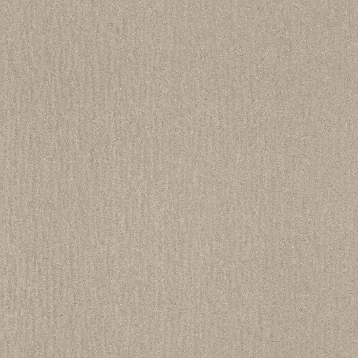 Rasch | Trianon XIII | 570090 | Vliestapete | Einfarbig | Uni | 0.53 x 10.05 m | Braun