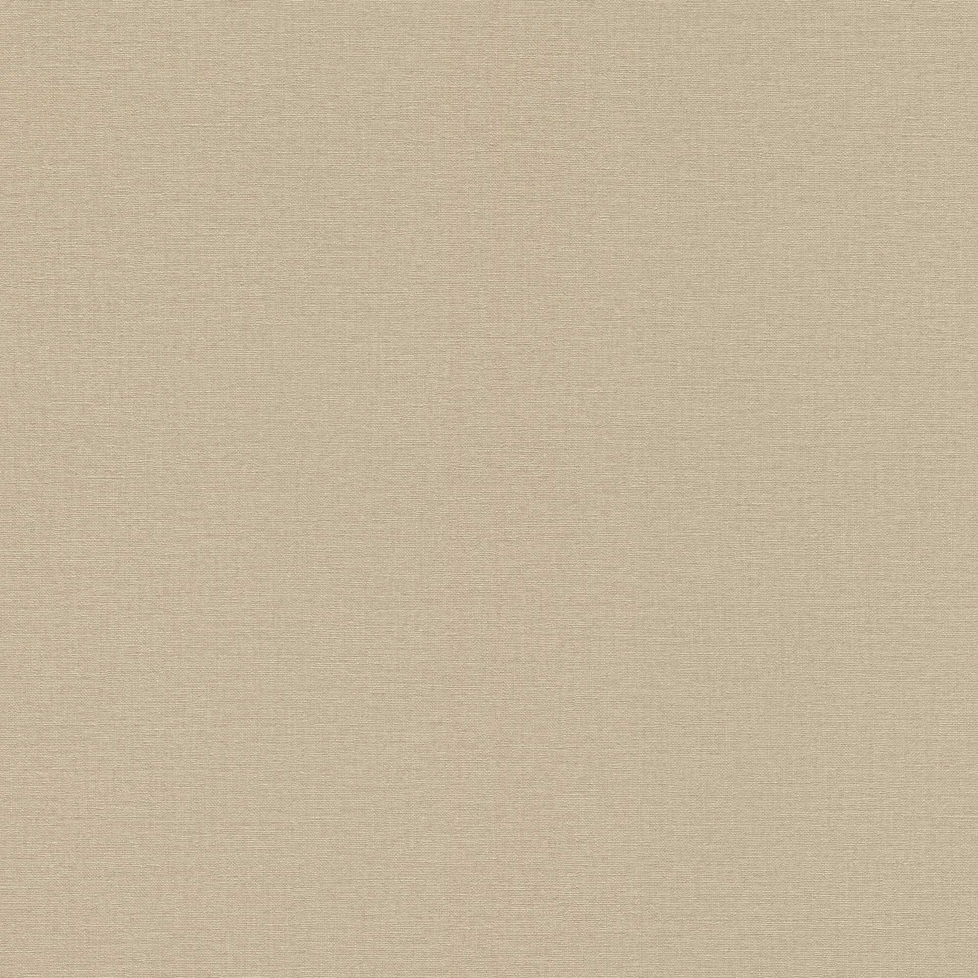 Vliestapete 449815 Braun Uni Einfarbig Country Charme Rasch