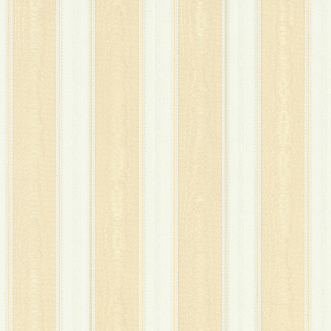 A.S. Creation | Concerto 3 | 765826 | Papiertapete | Streifenoptik | 0.53 x 10.05 m | Beige