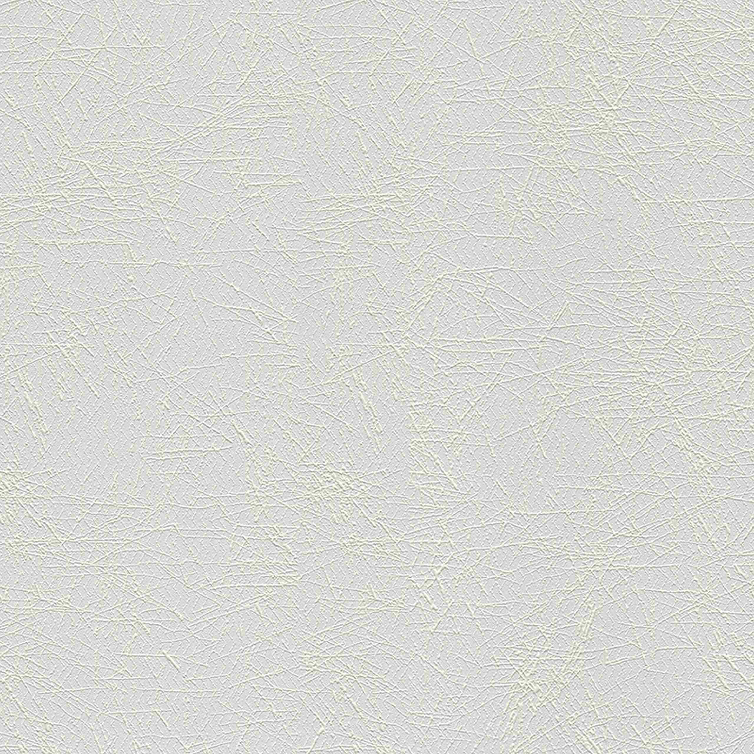 A.S. Creation | Meistervlies | 103512 | Vliestapete Überstreichbar | Putz | 0.53 x 10.05 m | Weiß