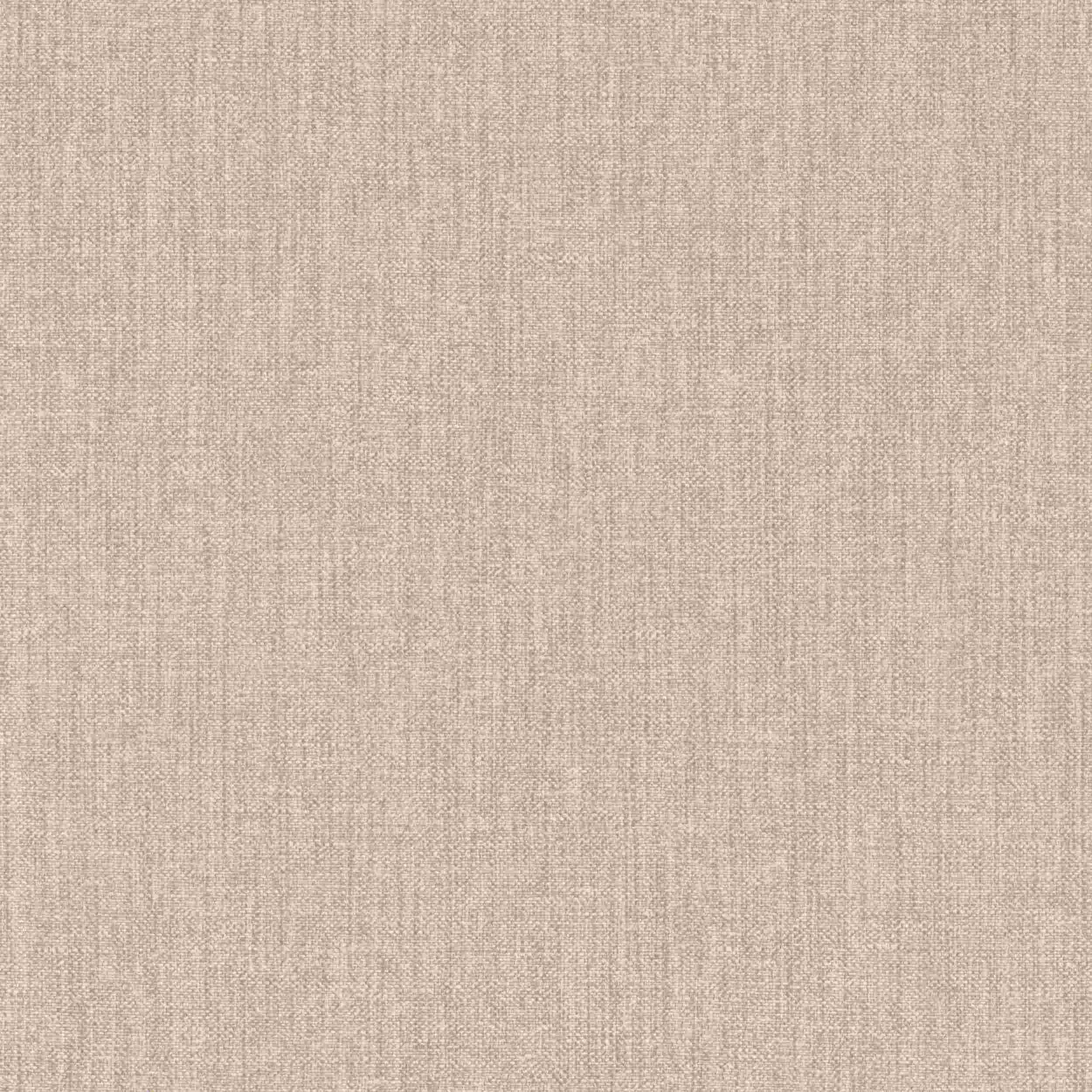 Rasch Papiertapete Selection 200669 | 0.53 x 10.05 m | Uni Einfarbig Beige