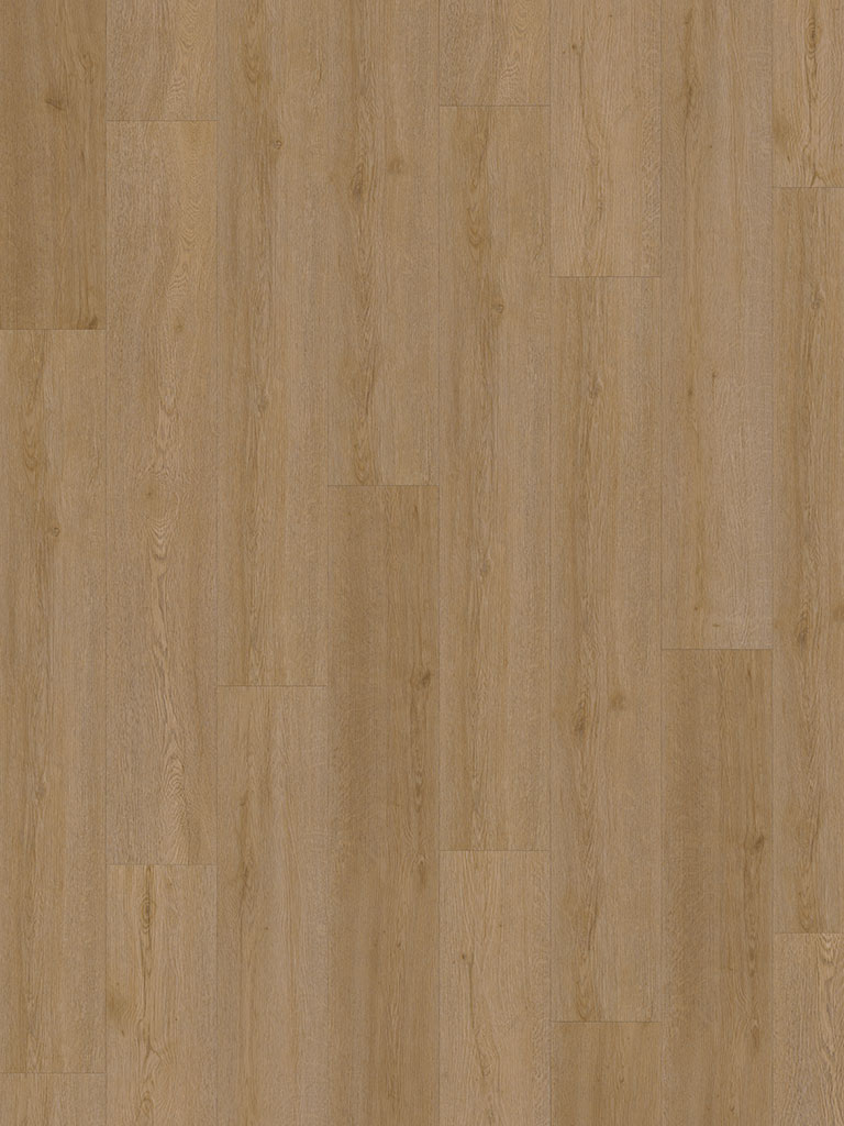 vinyl_2467_v_frontal