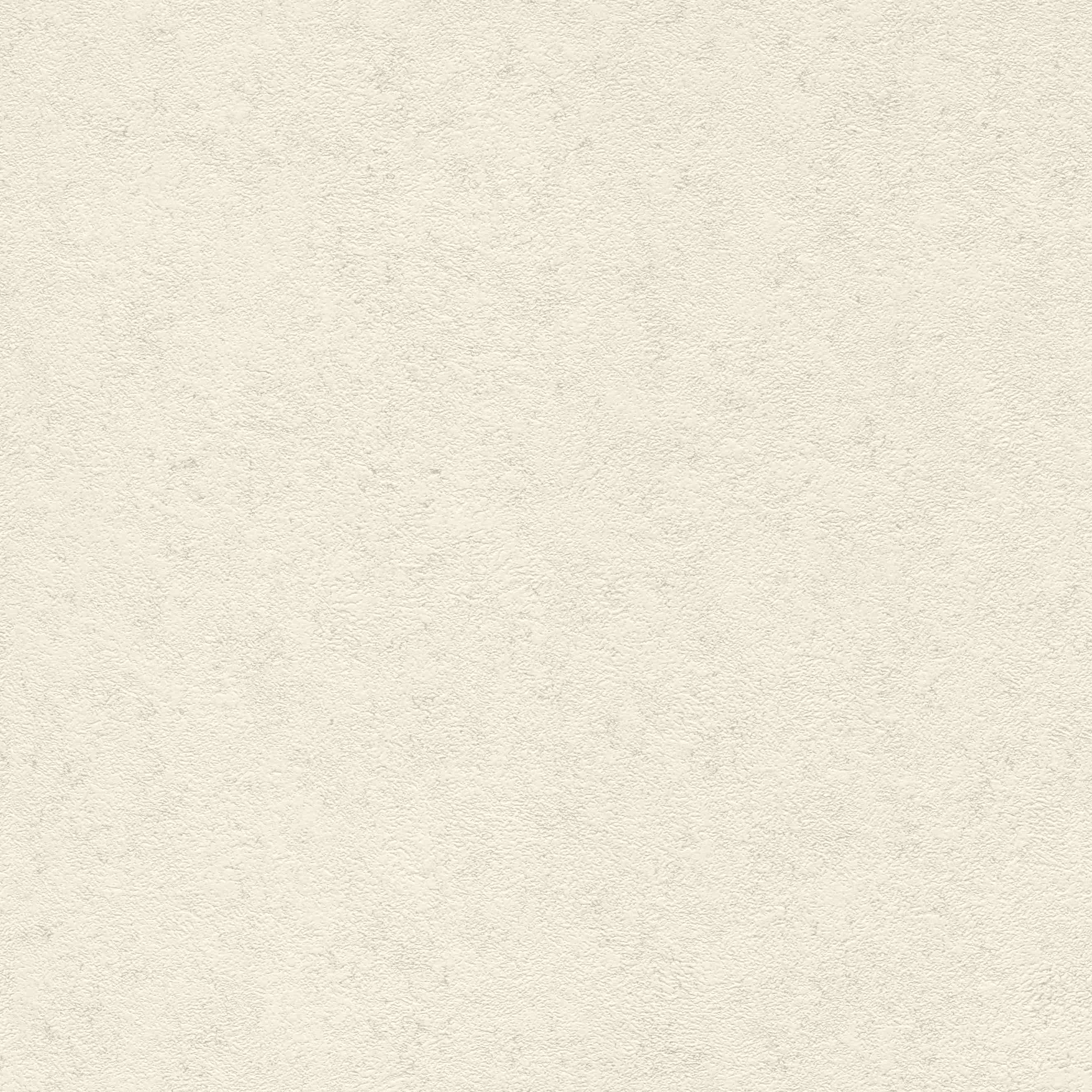 Rasch | Andy Wand | 649314 | Vliestapete | Einfarbig | Uni | 0.53 x 10.05 m | Creme