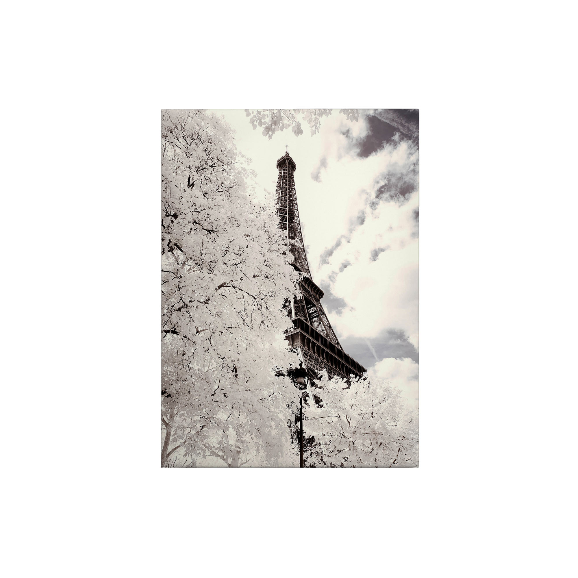 Tadessi Leinwandbild Schnee Winter - 70 x 50 cm - M1-No.50355 - Keilrahmen in Weiß Grau