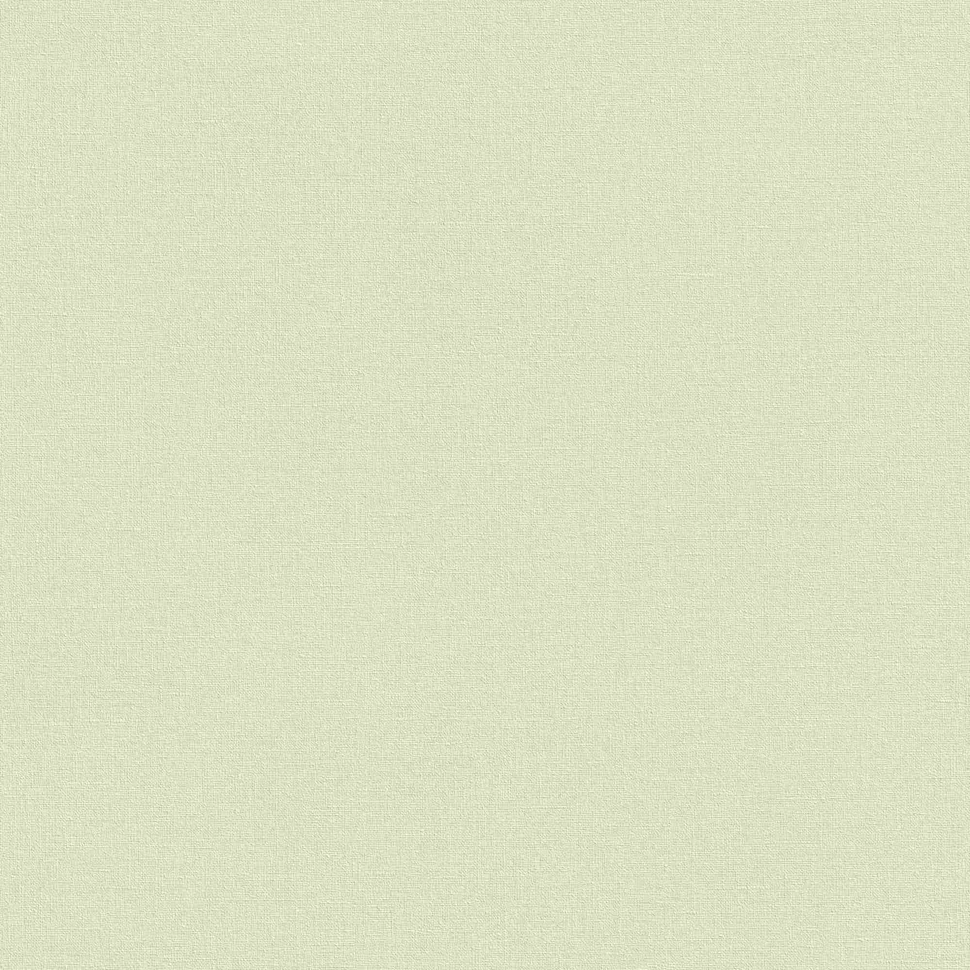 Rasch | Wall Textures V | 447538 | Vliestapete | Uni | 10.05 x 0.53 m | Grün