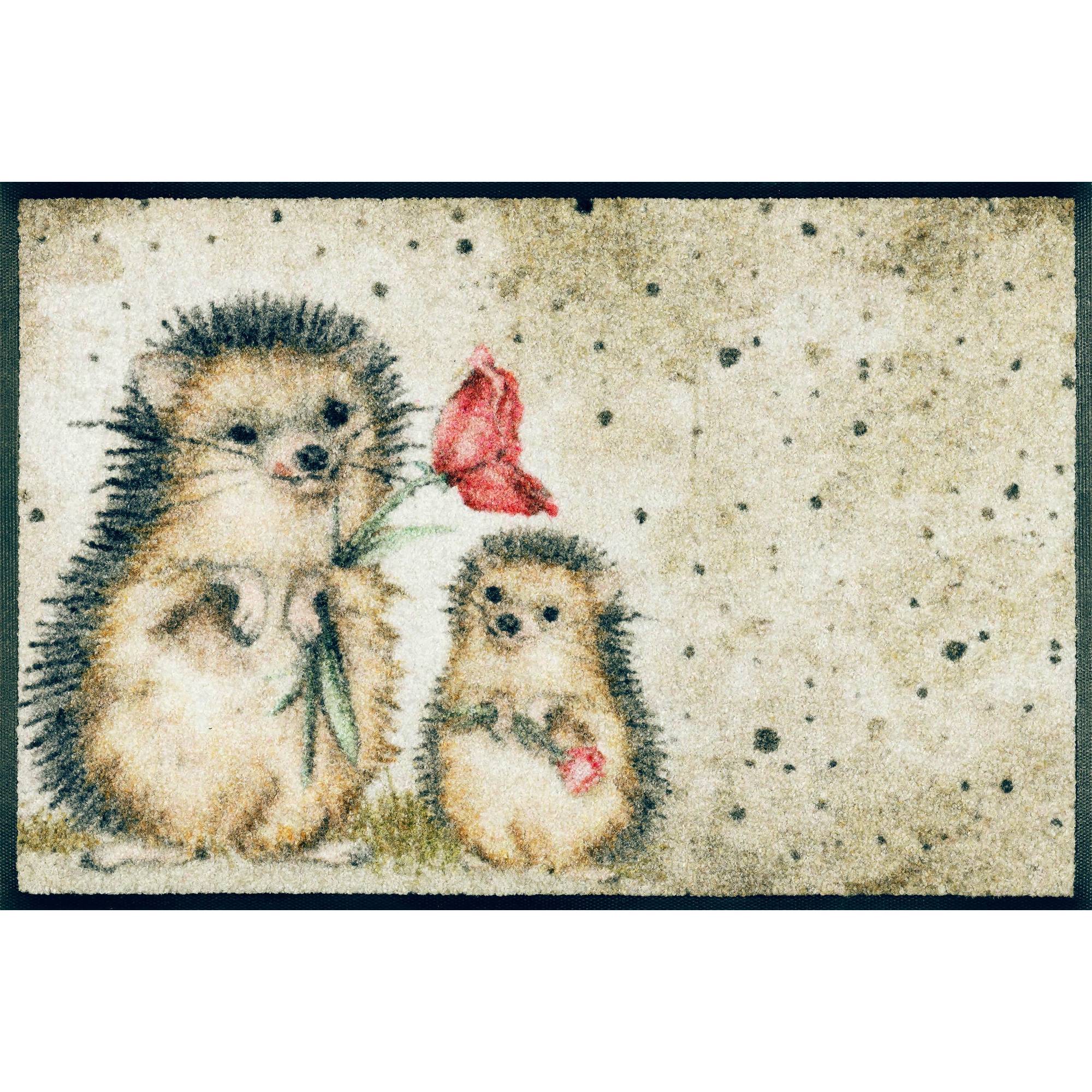 Fußmatte Zackenzauber Schmutzfangmatte waschbar verschiedene Größen Floornovo Trend Design